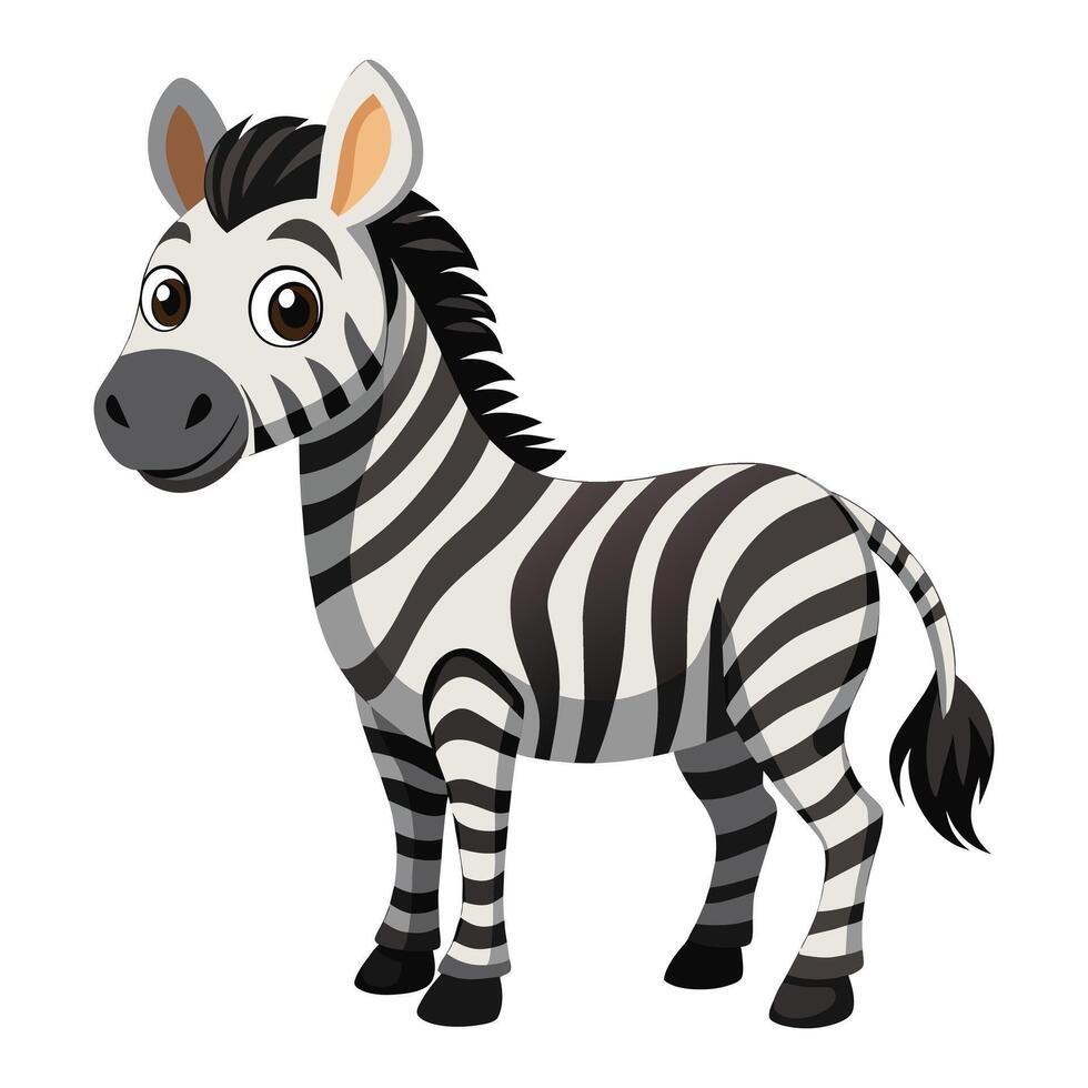 of Cartoon Zebra Illustration on White vector