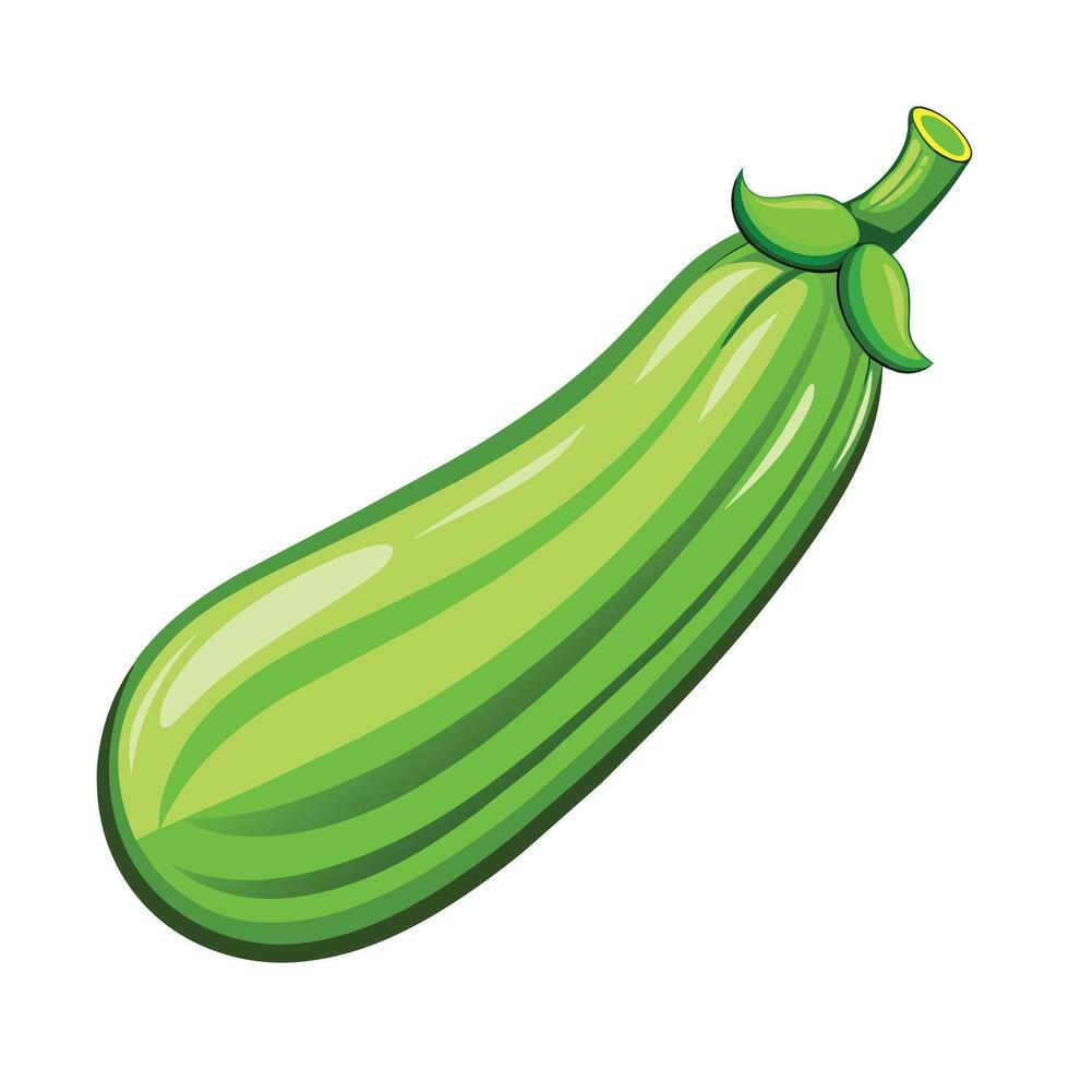 Illustration of Courgette on White vector