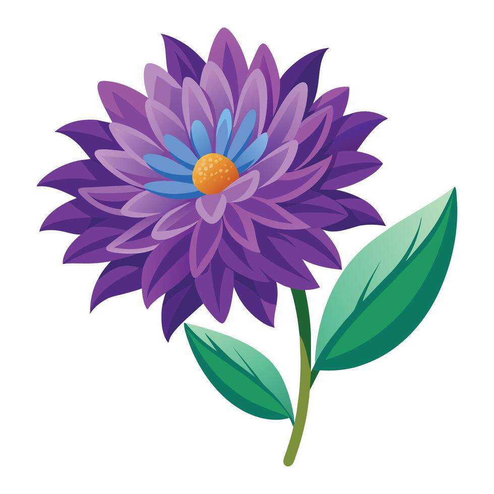 Illustration of Aster on White vector