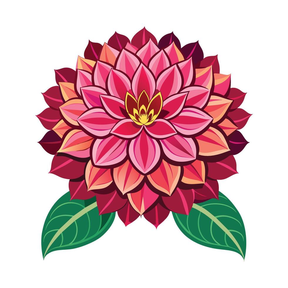 Illustration of Dahlia on White vector