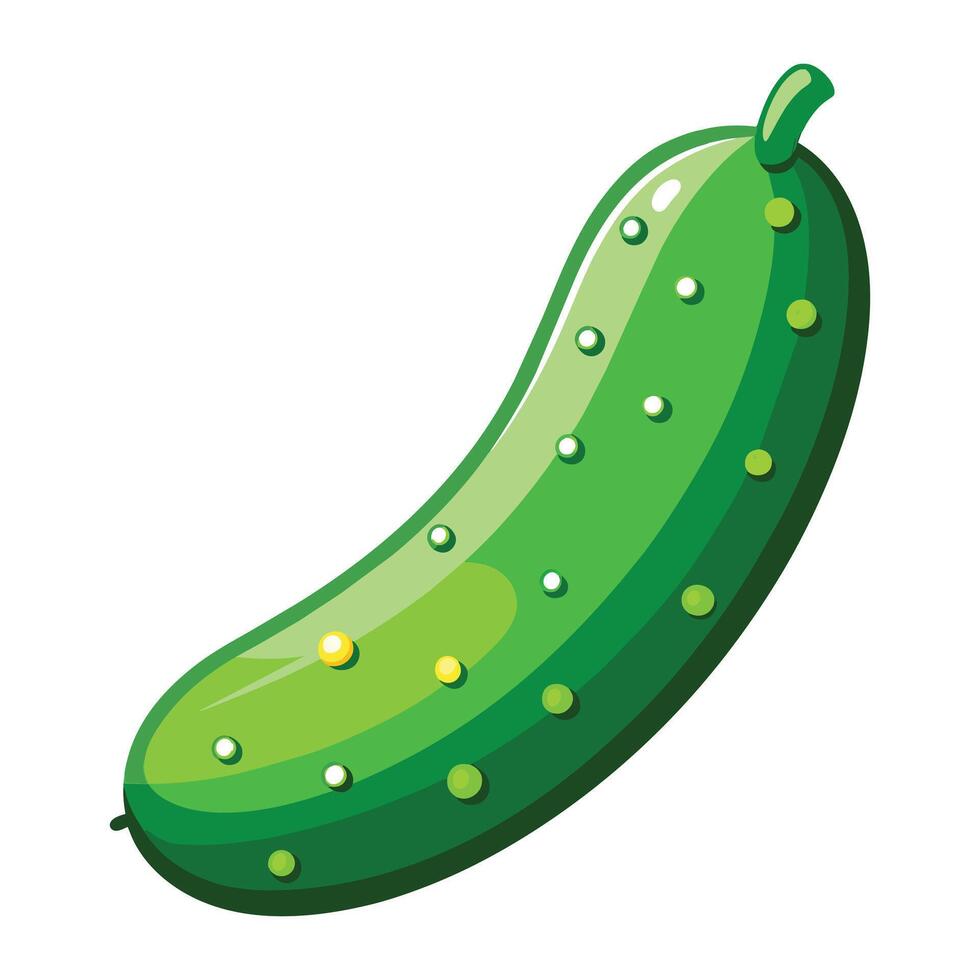 Illustration of Cucumber on White vector