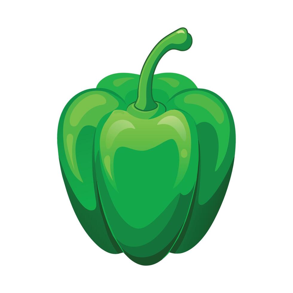 Illustration of Fresh Green Bell Pepper on White vector