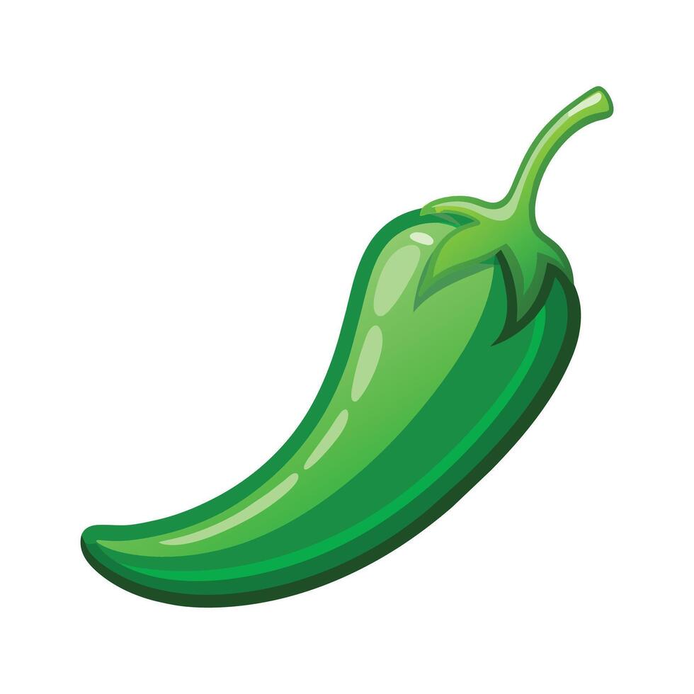 Illustration of Fresh Green Chili Pepper on White vector