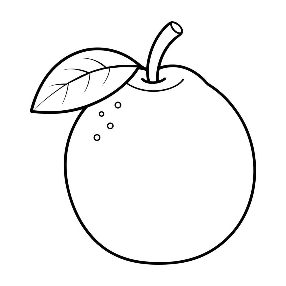 of Guava Coloring Pages for Kids on White vector