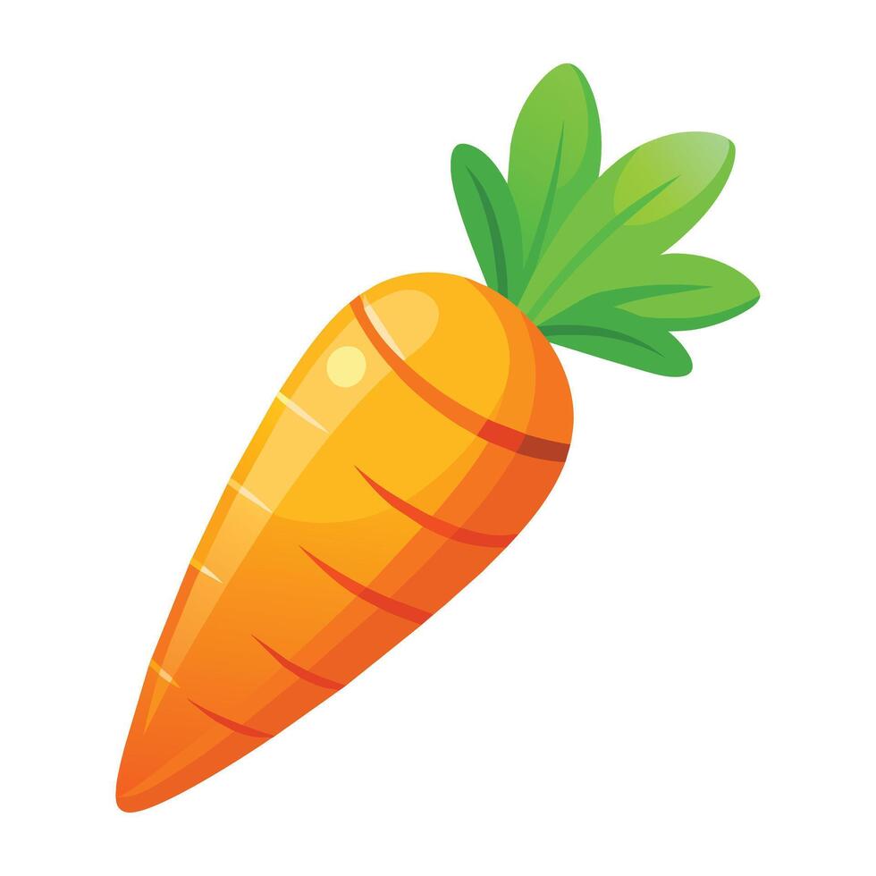 Illustration of Carrot on White vector