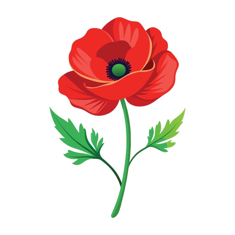 Illustration of Poppy on White vector