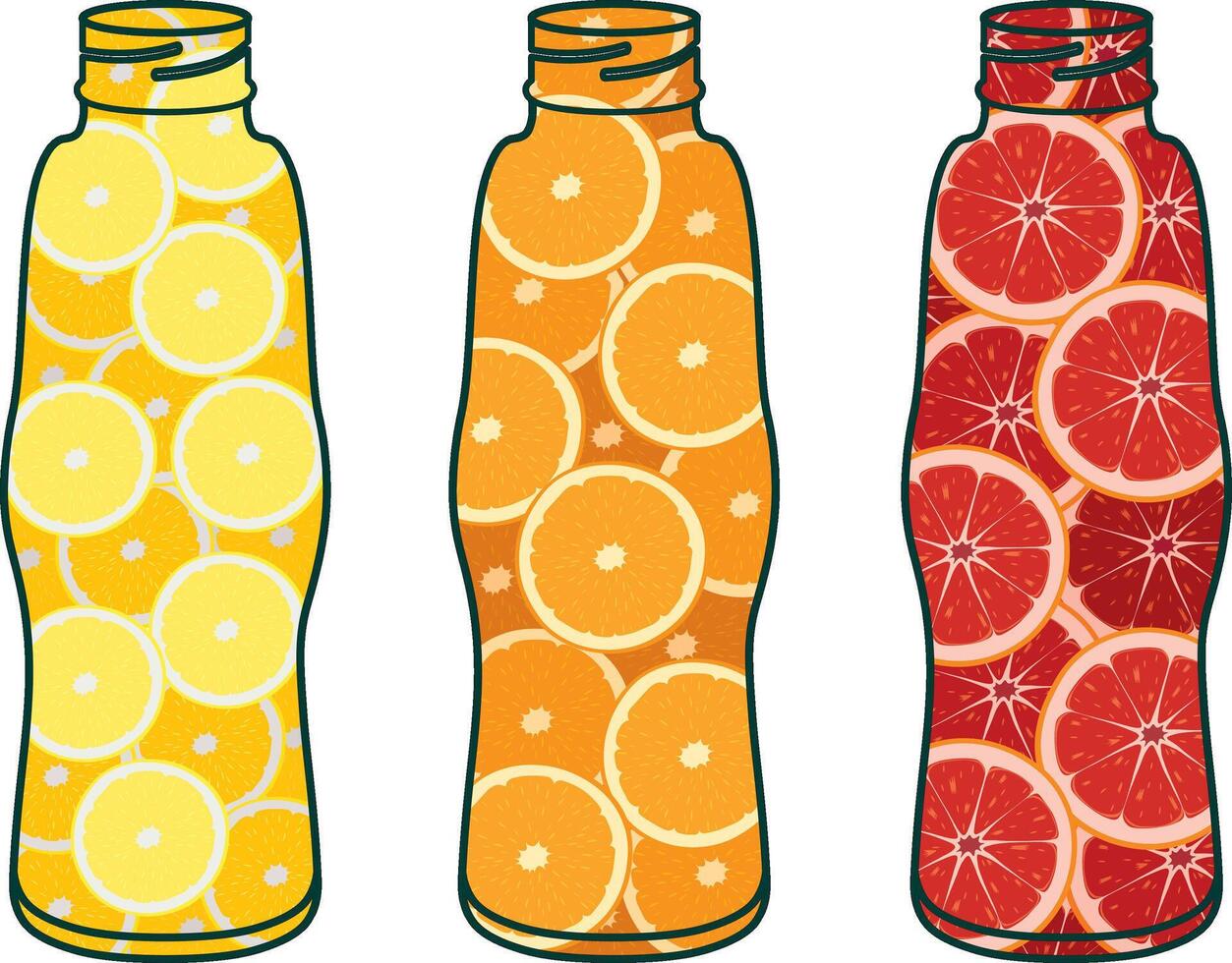 Citrus fruits in bottles, natural juice concept illustration vector