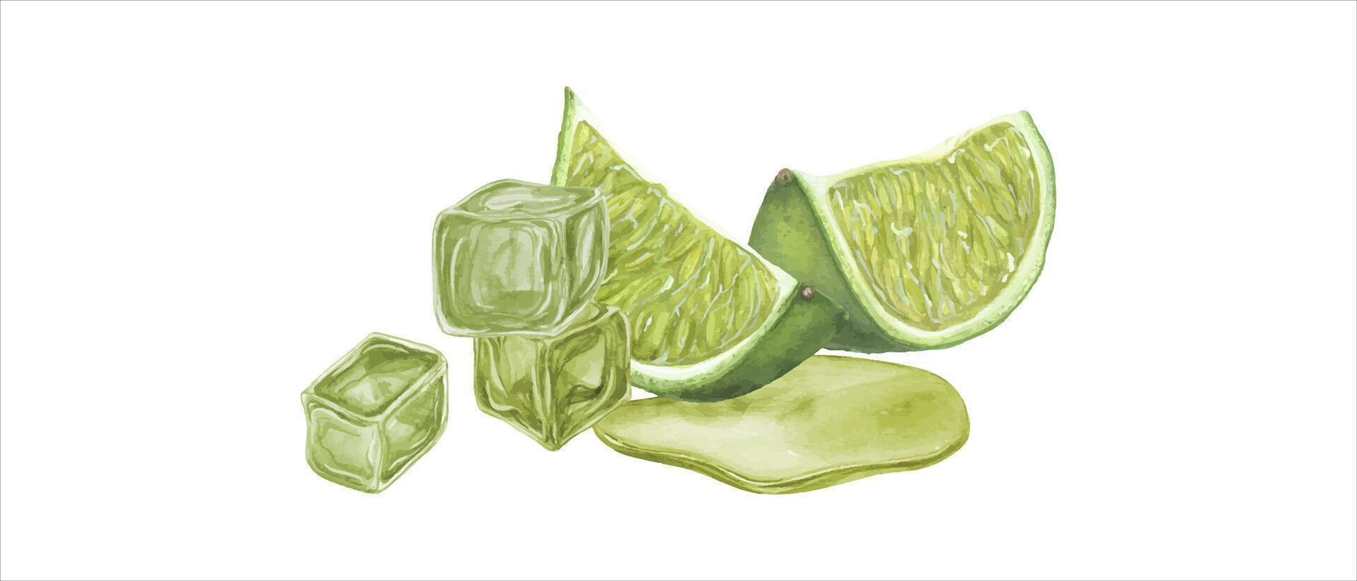 Watercolor melting lime juice ice cubes, lime slices. Citrus, juice, water. Botanical illustration of mojito ingredients for menu, cocktail party, flyer, postcards. vector