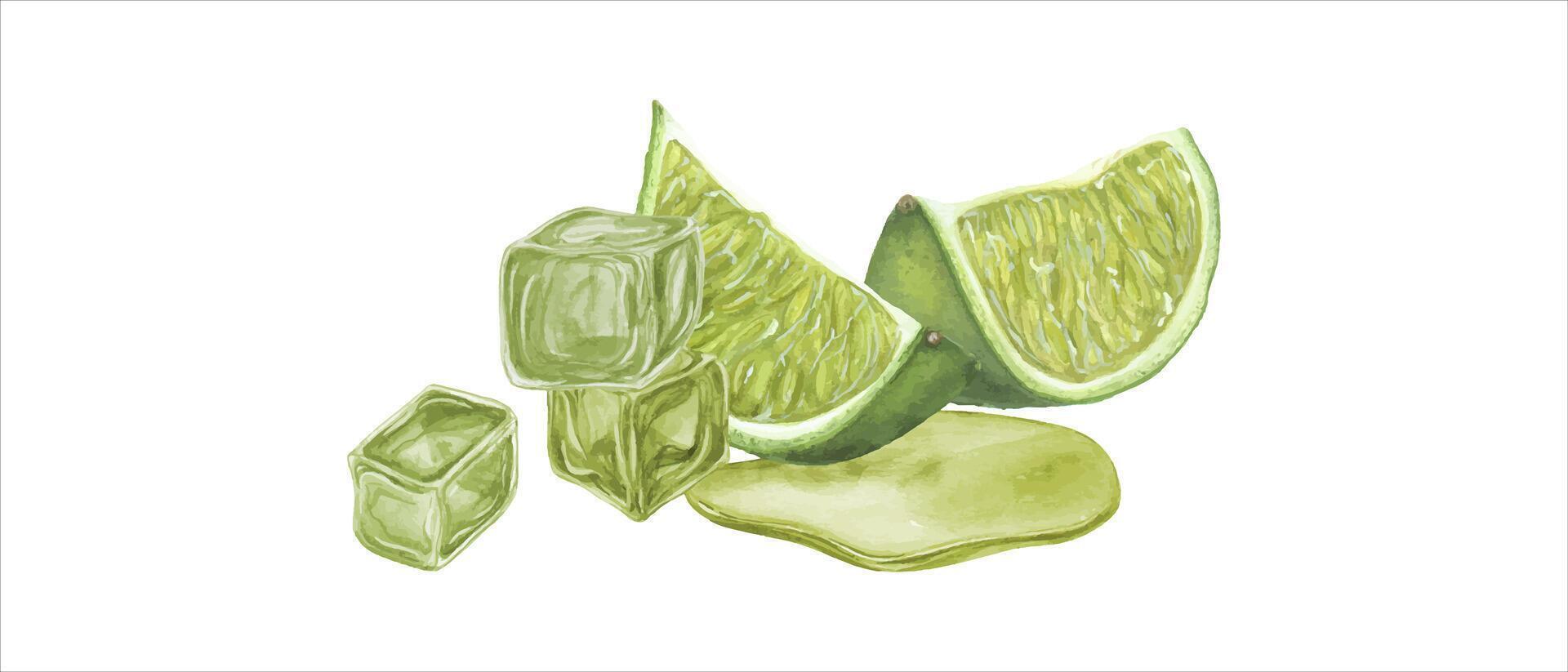 acuarela derritiendo Lima jugo hielo cubitos, Lima rebanadas agrios, jugo, agua. botánico ilustración de mojito ingredientes para menú, cóctel fiesta, volantes, postales vector