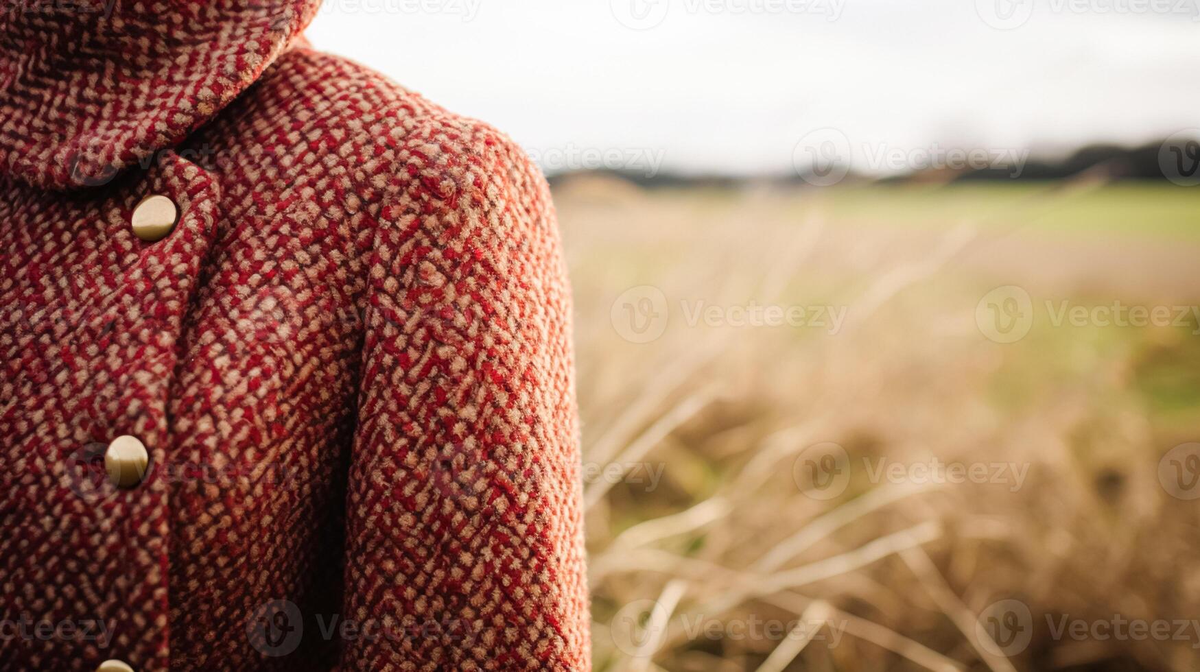 ropa de mujer otoño invierno ropa y accesorio colección en el Inglés campo Moda estilo, clásico Mira foto