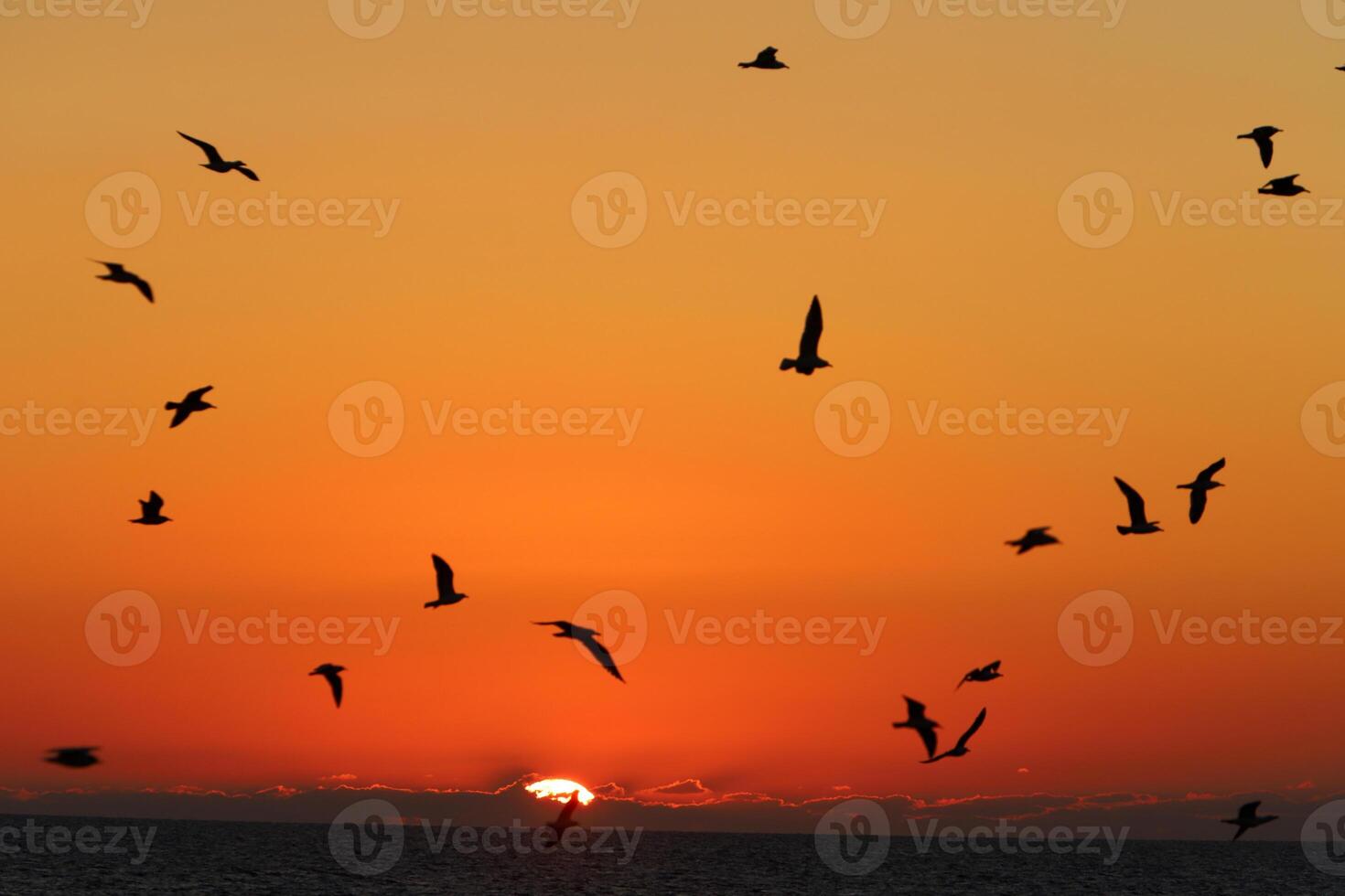 Lighting and color of the sky above the horizon at sunset. photo