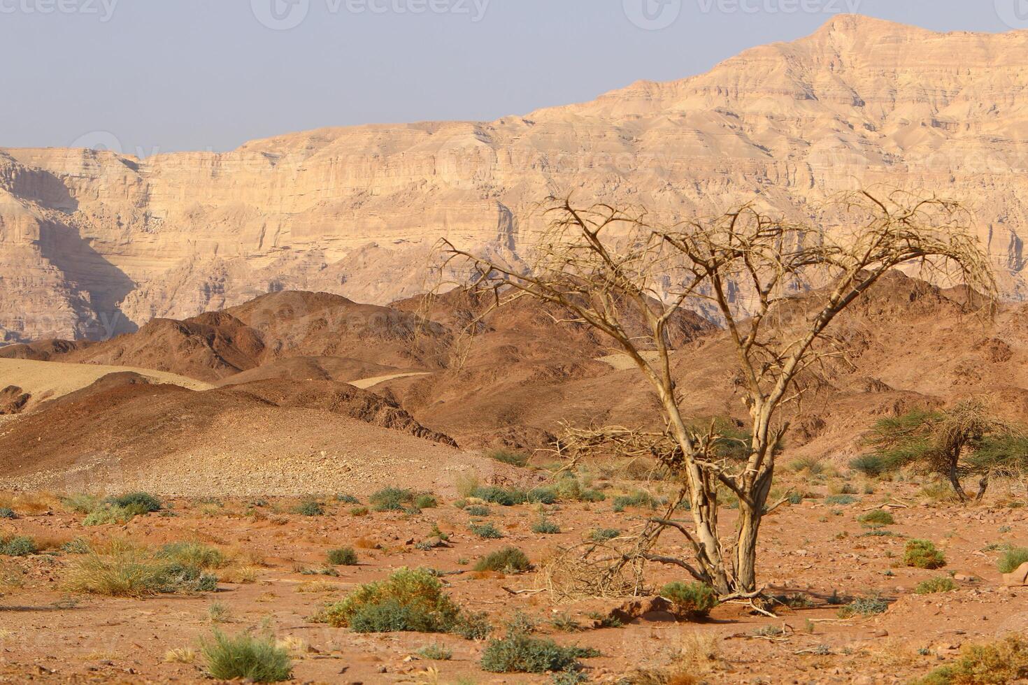 Timna mountain range in Eilat in southern Israel. photo