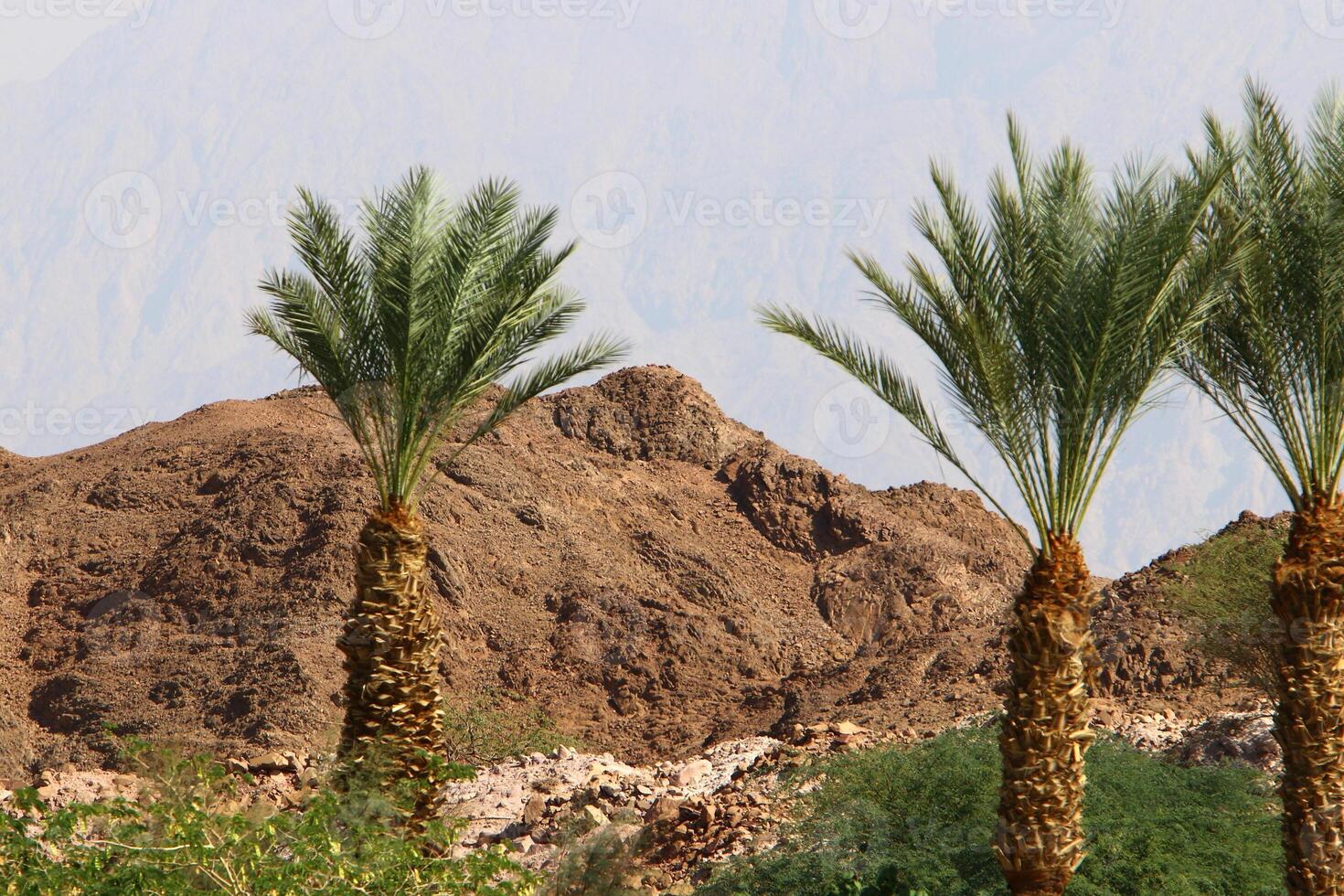 Timna mountain range in Eilat in southern Israel. photo
