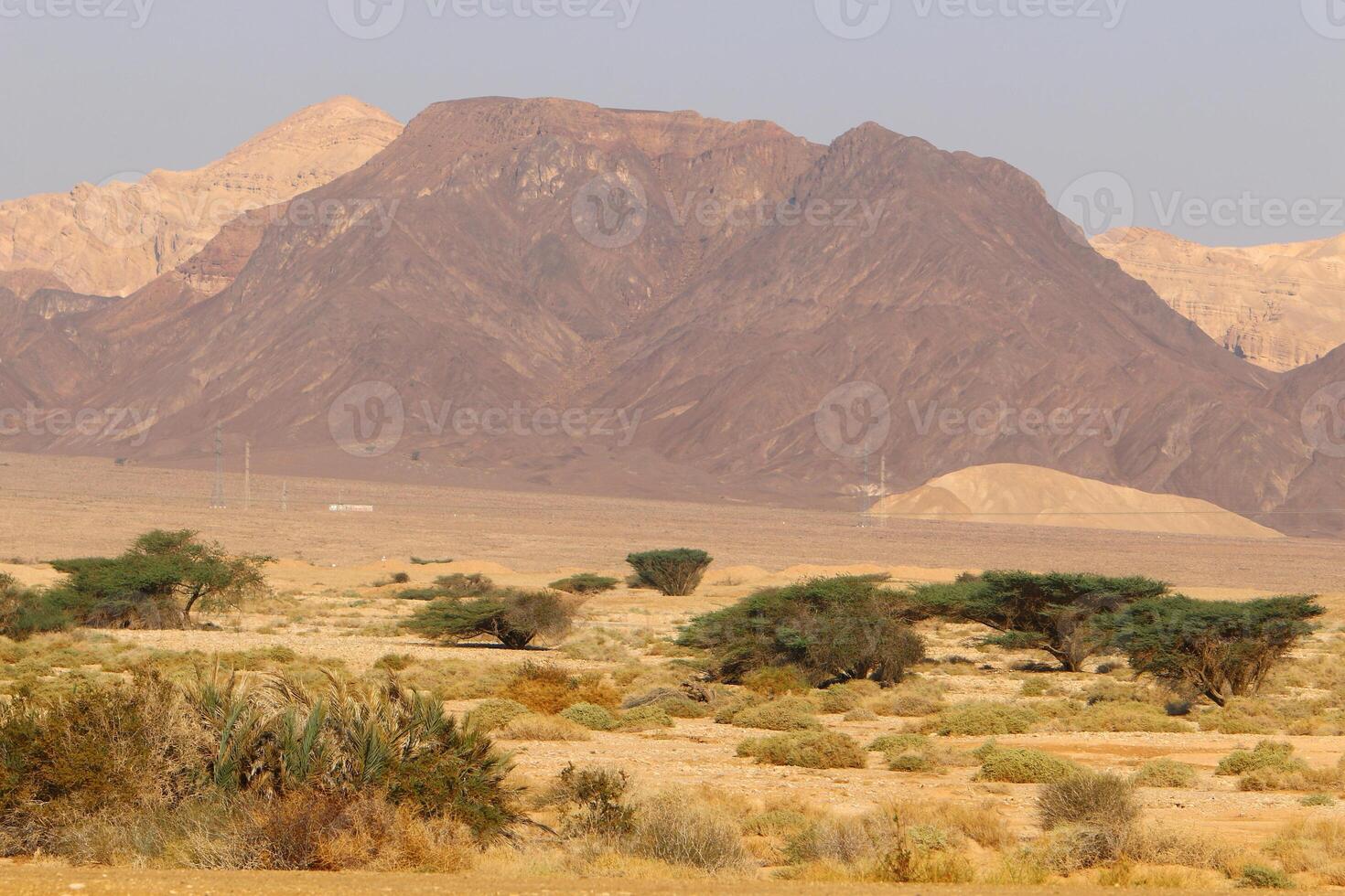 Timna mountain range in Eilat in southern Israel. photo
