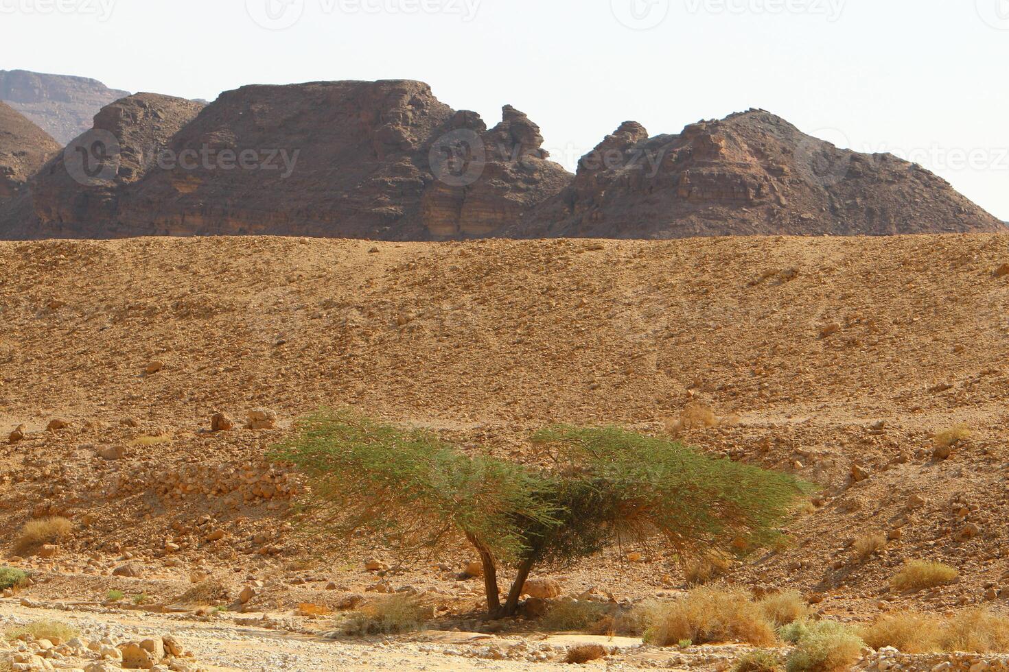 Timna mountain range in Eilat in southern Israel. photo