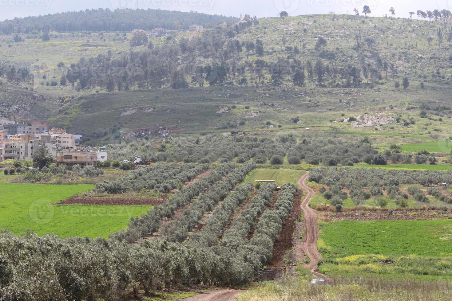 Landscape in the mountains in northern Israel. photo