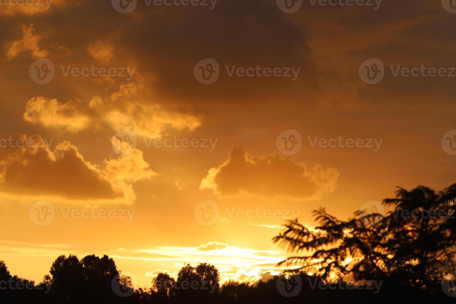 Lighting and color of the sky above the horizon at sunset. photo