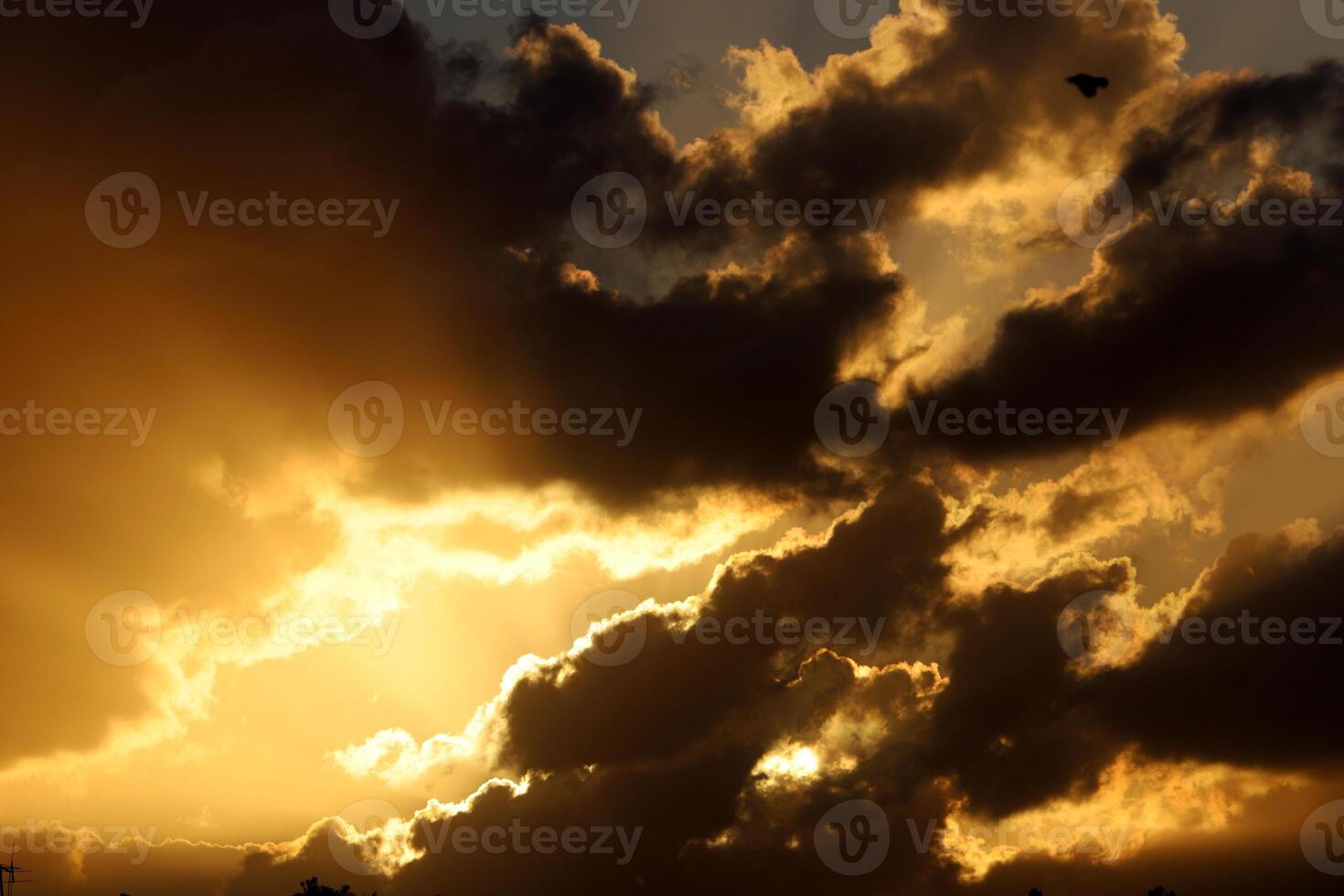 Lighting and color of the sky above the horizon at sunset. photo