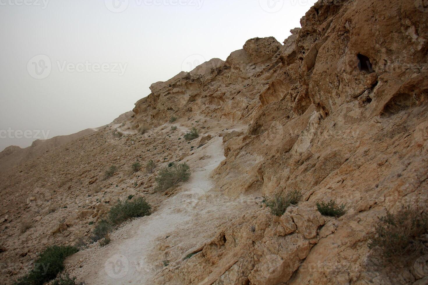 The Negev is a desert in the Middle East, located in Israel and occupying about 60 of its territory. photo