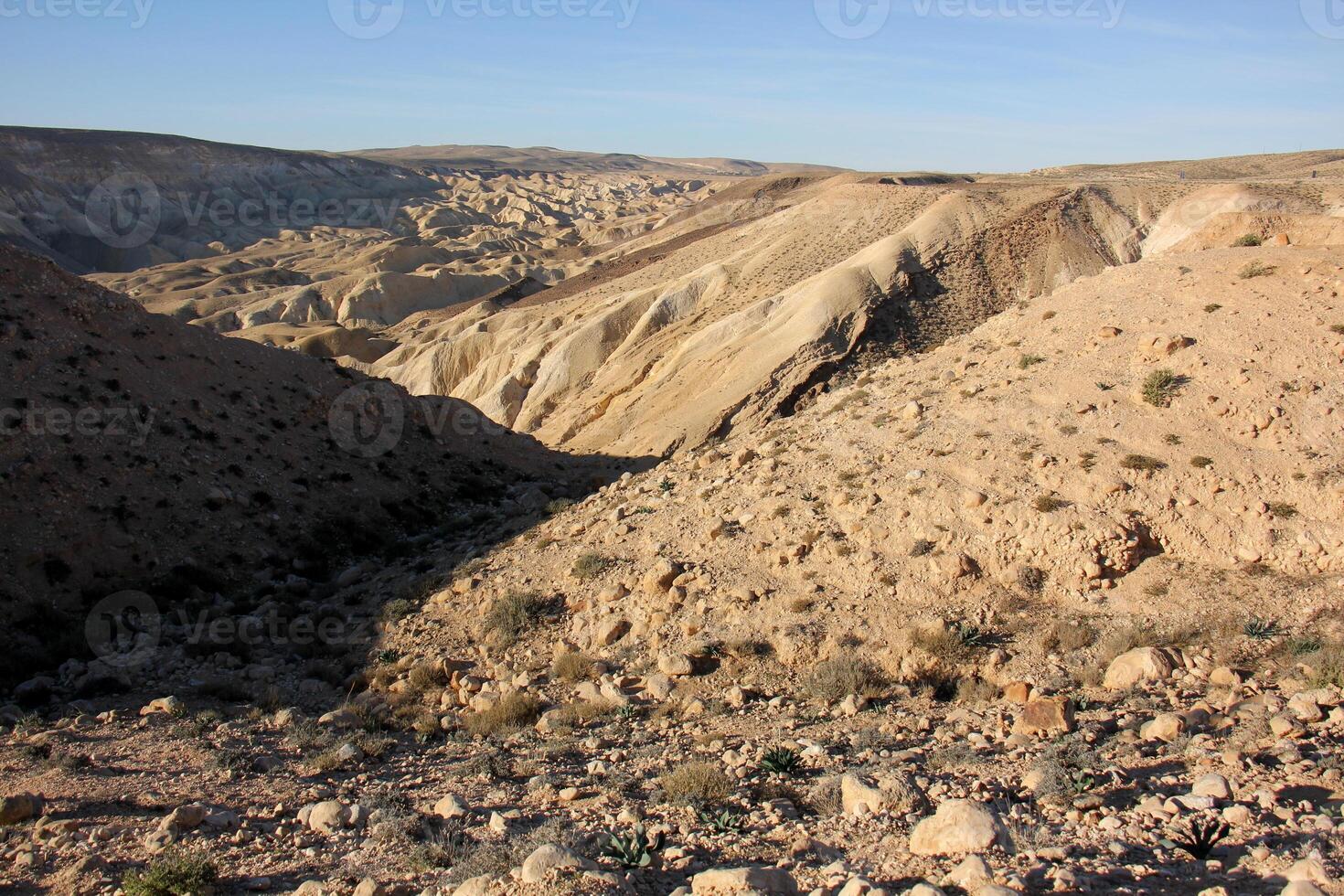The Negev is a desert in the Middle East, located in Israel and occupying about 60 of its territory. photo