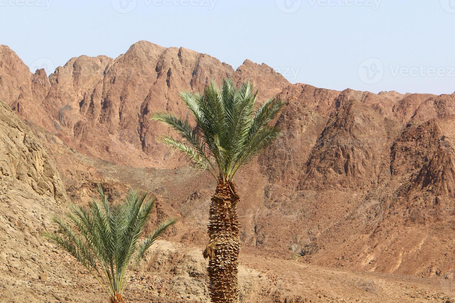 Timna mountain range in Eilat in southern Israel. photo