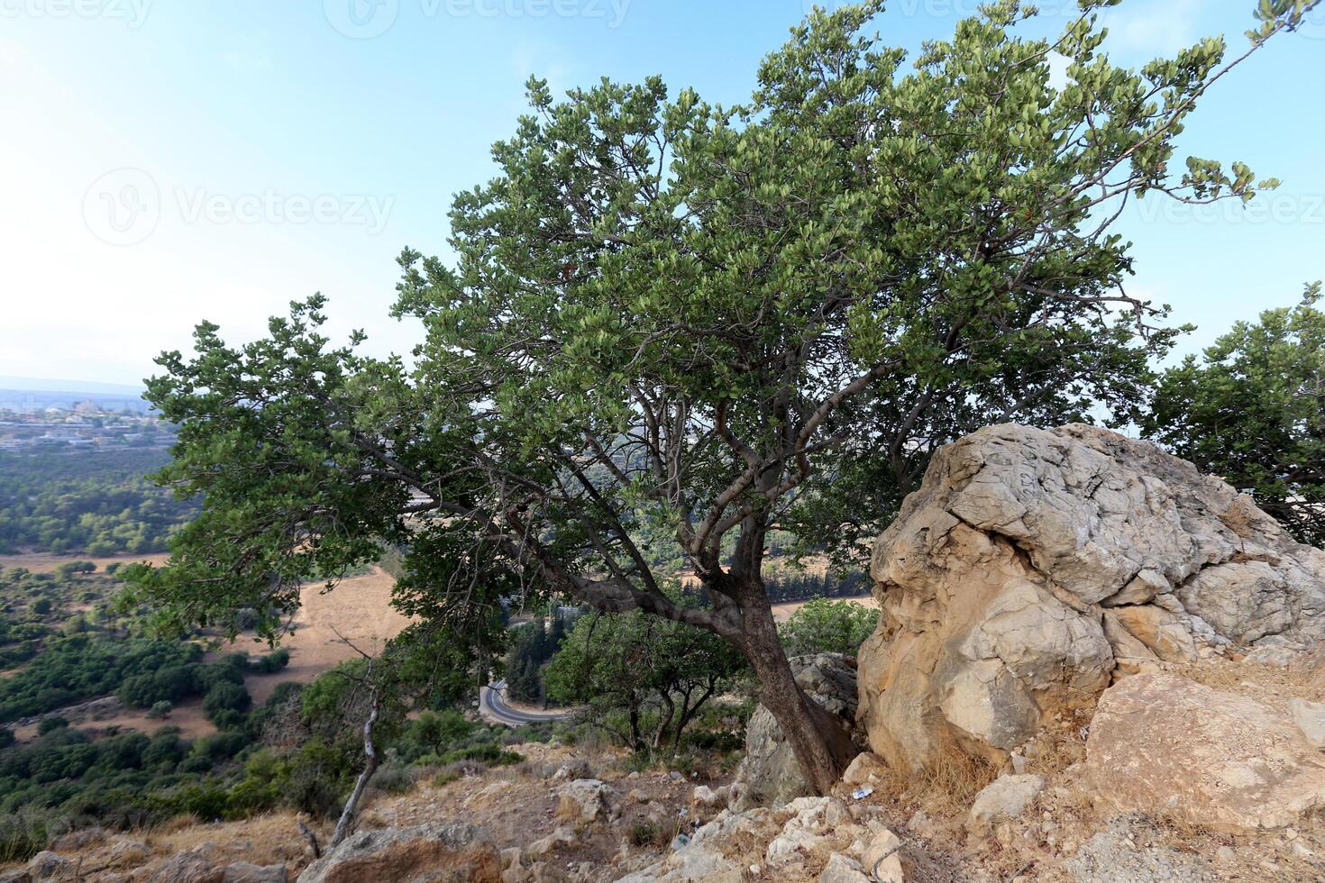 Landscape in the mountains with views of pristine nature. photo