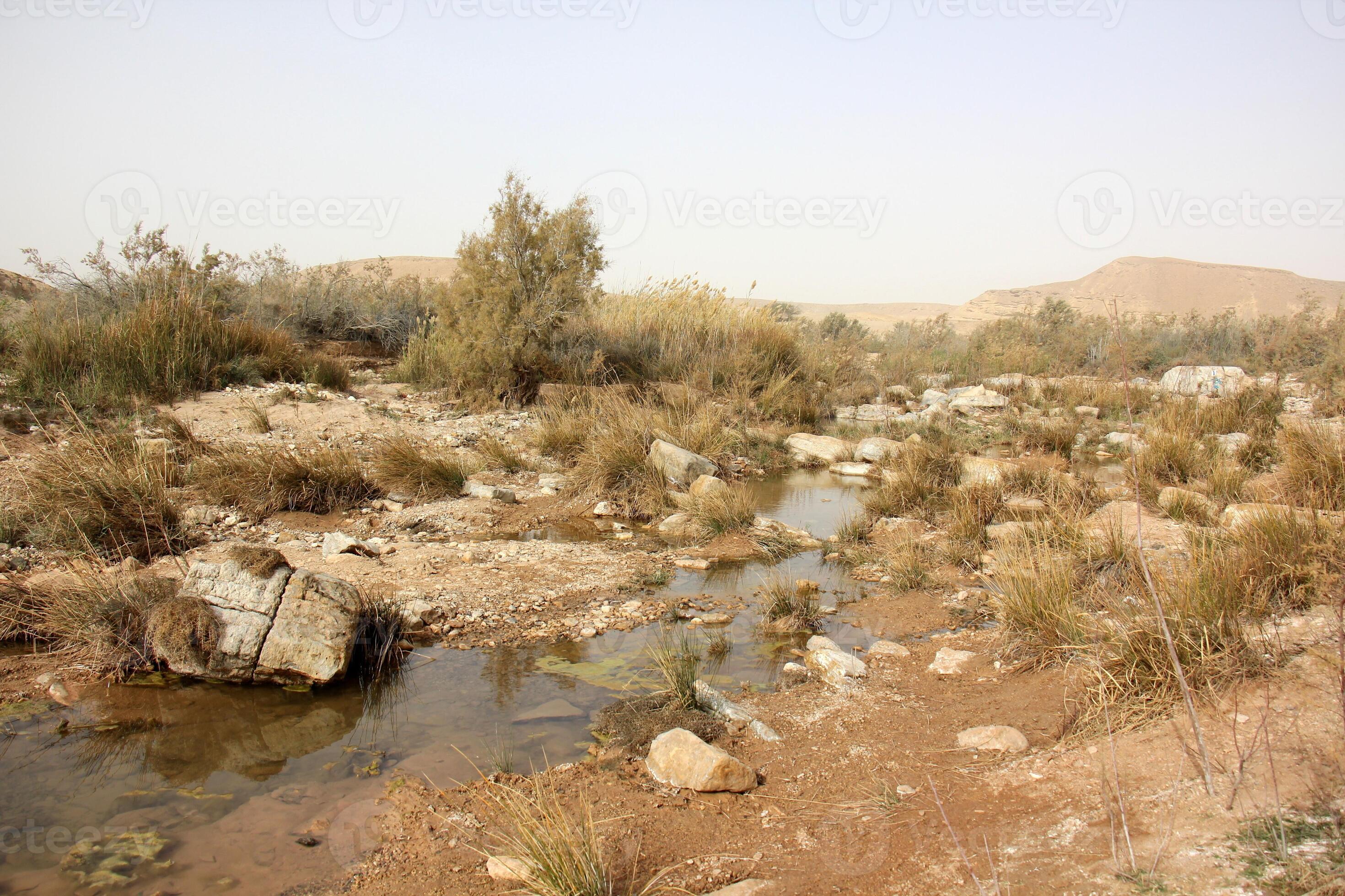 Survival In The Negev:  Understanding Its Harsh Characteristics - bvot3tj