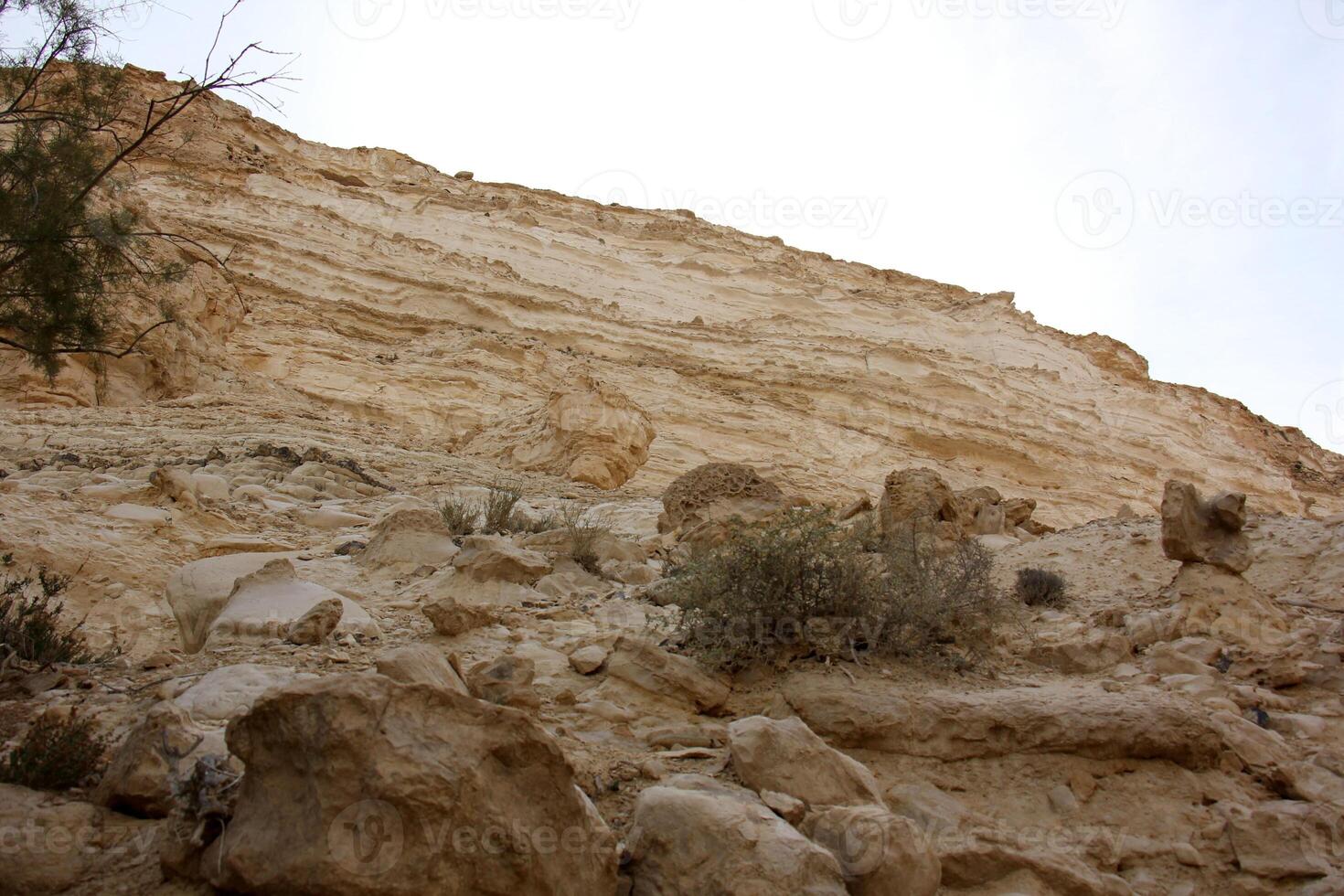 The Negev is a desert in the Middle East, located in Israel and occupying about 60 of its territory. photo