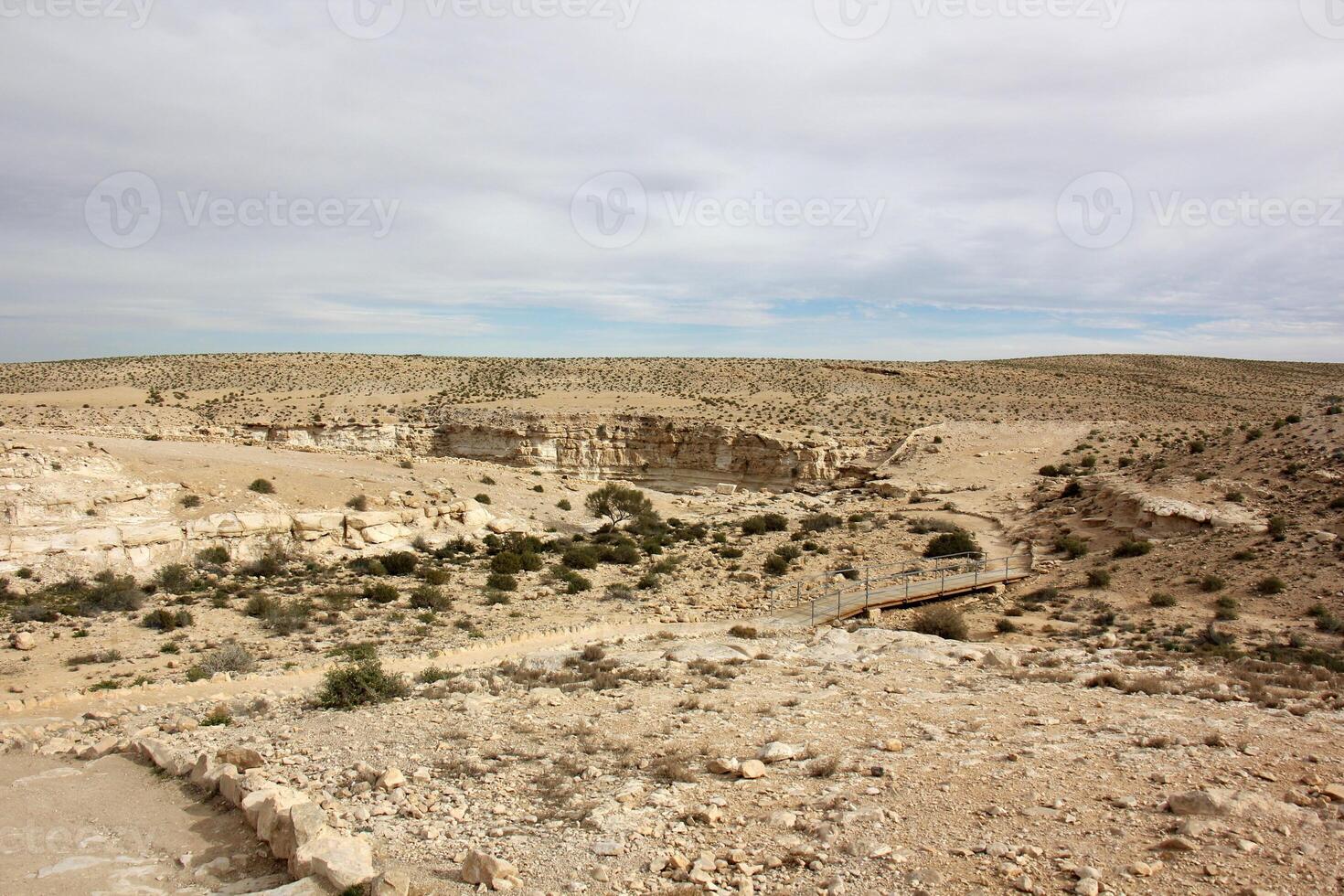 The Negev is a desert in the Middle East, located in Israel and occupying about 60 of its territory. photo