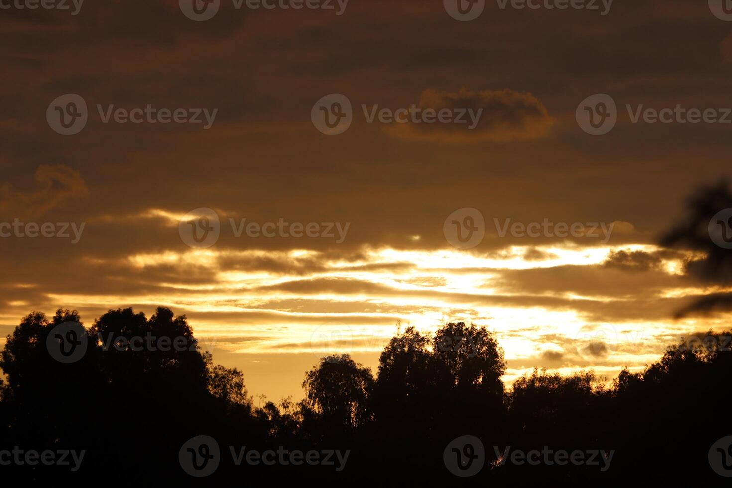 Lighting and color of the sky above the horizon at sunset. photo