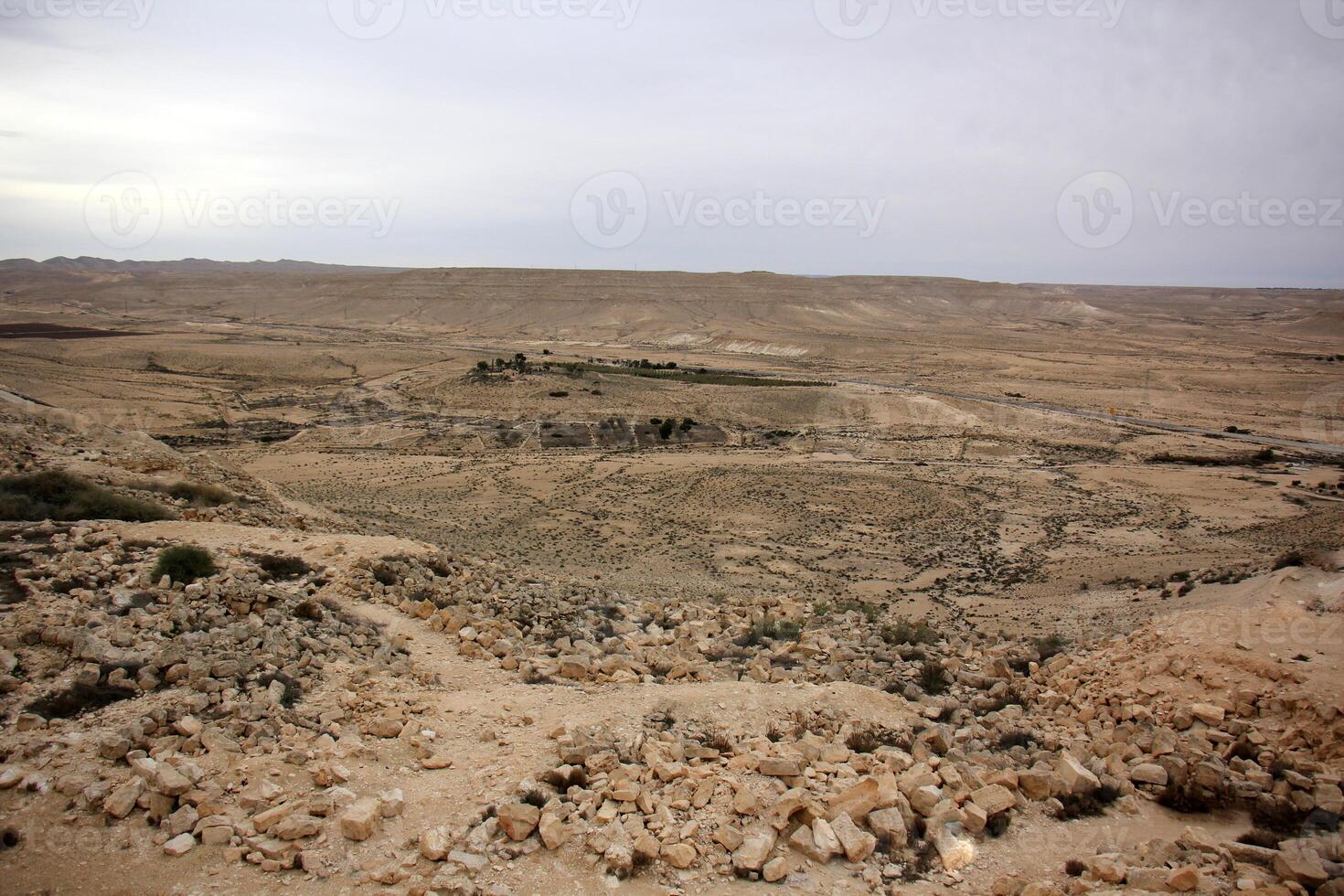 The Negev is a desert in the Middle East, located in Israel and occupying about 60 of its territory. photo