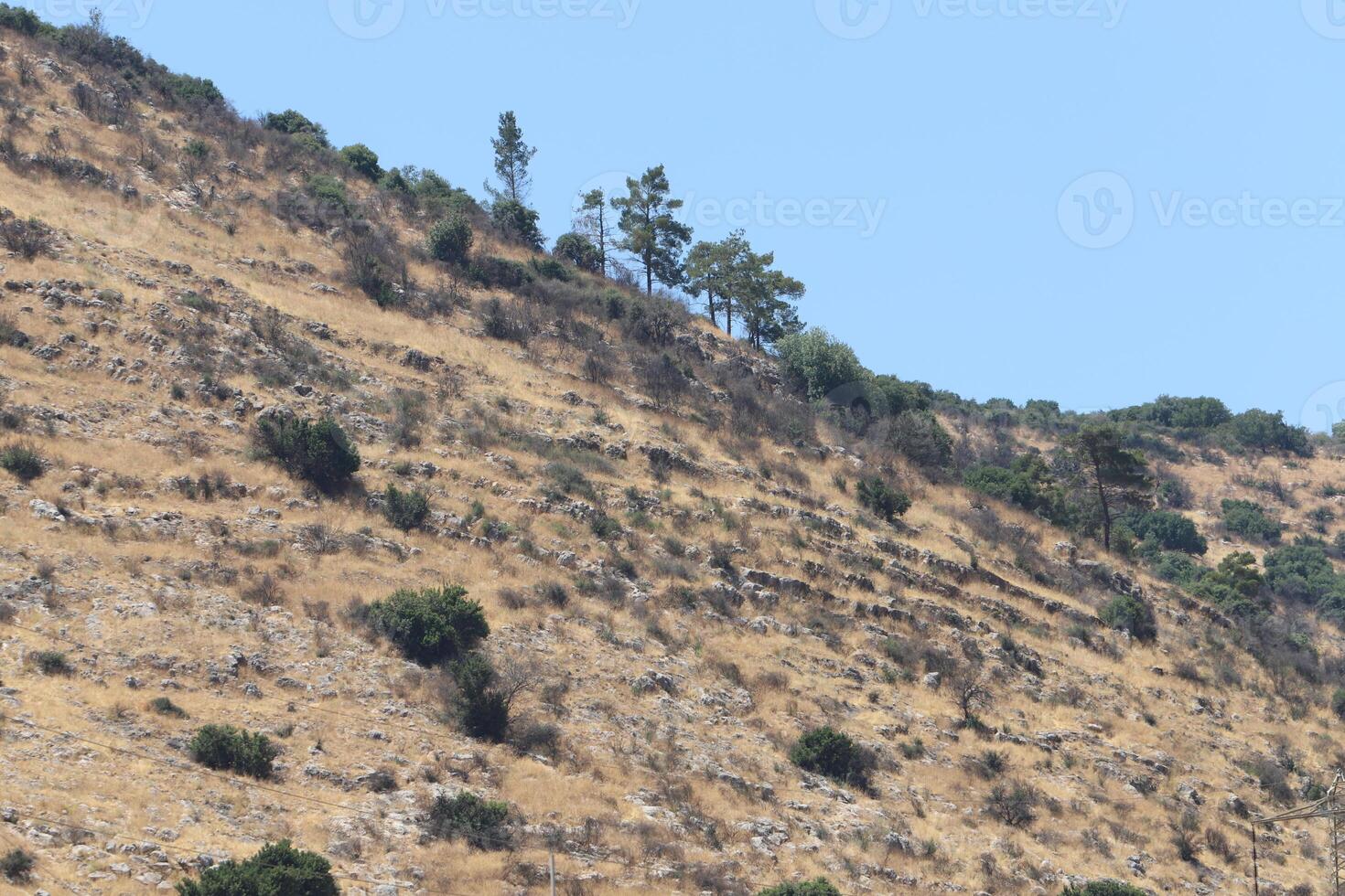 Landscape in the mountains in northern Israel. photo
