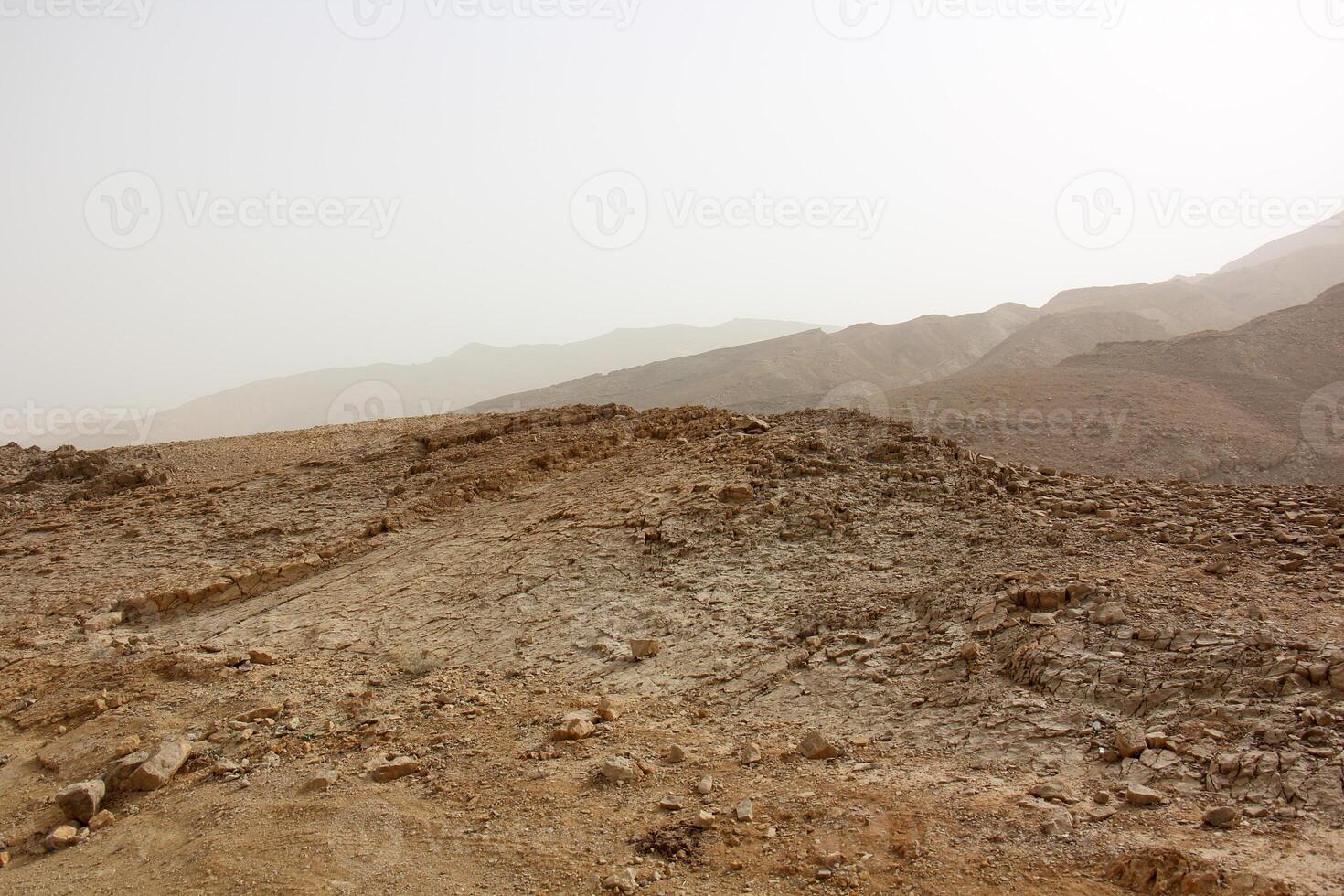 el negev es un Desierto en el medio este, situado en Israel y ocupando acerca de 60 60 de sus territorio. foto