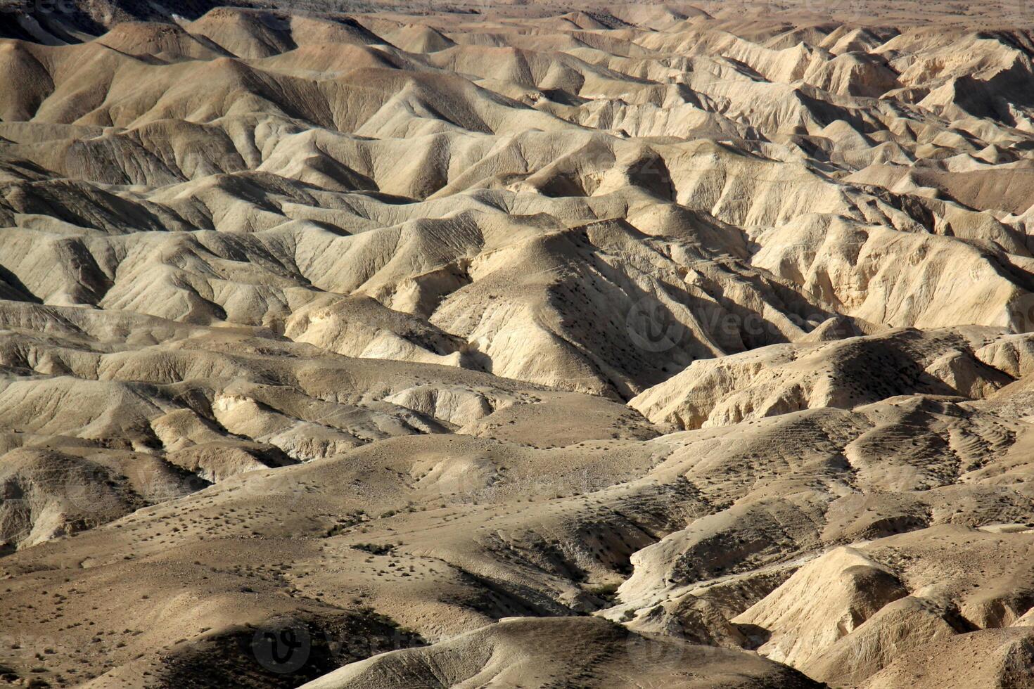 The Negev is a desert in the Middle East, located in Israel and occupying about 60 of its territory. photo