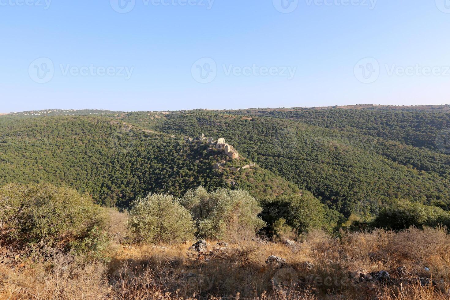 Landscape in the mountains with views of pristine nature. photo