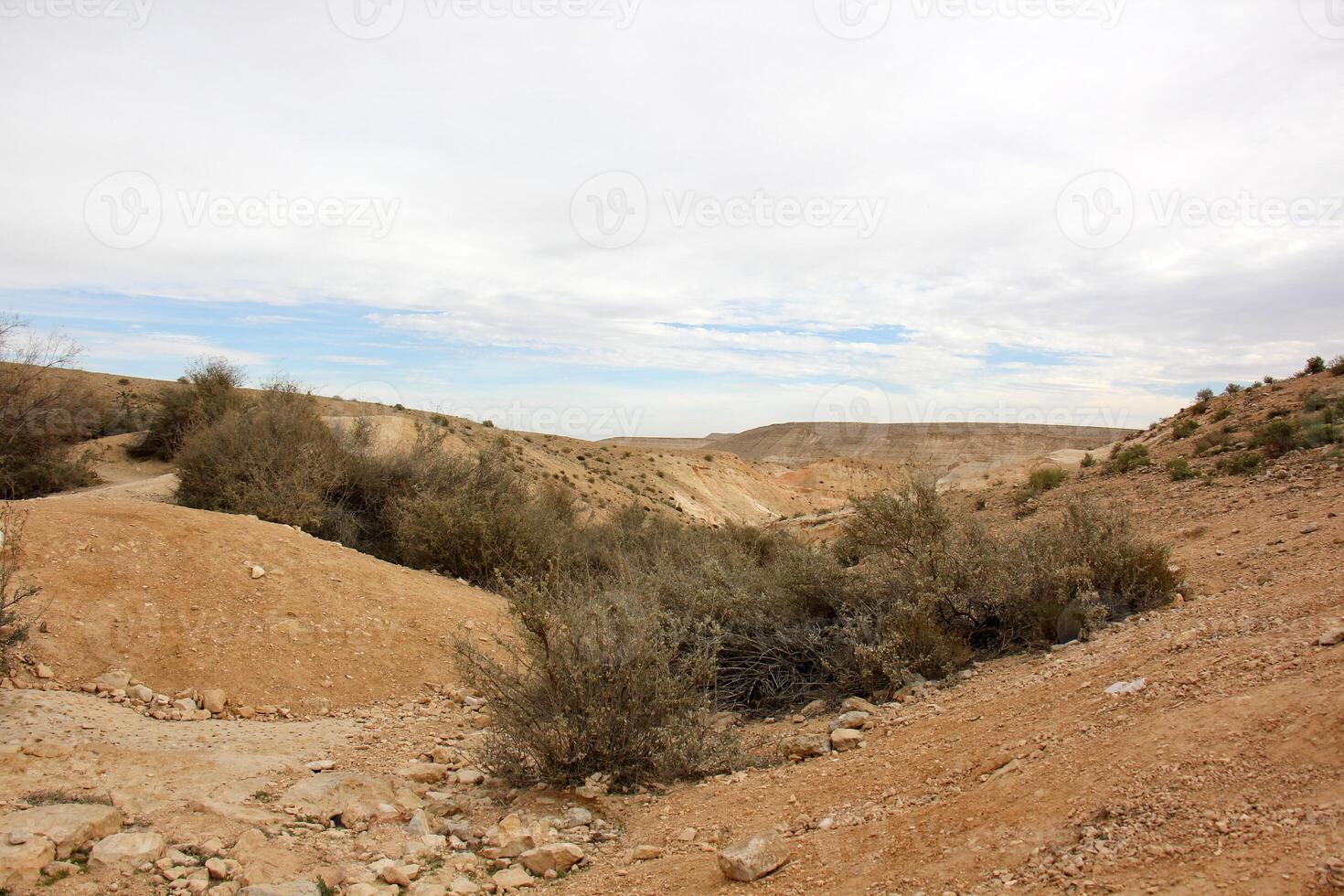 The Negev is a desert in the Middle East, located in Israel and occupying about 60 of its territory. photo