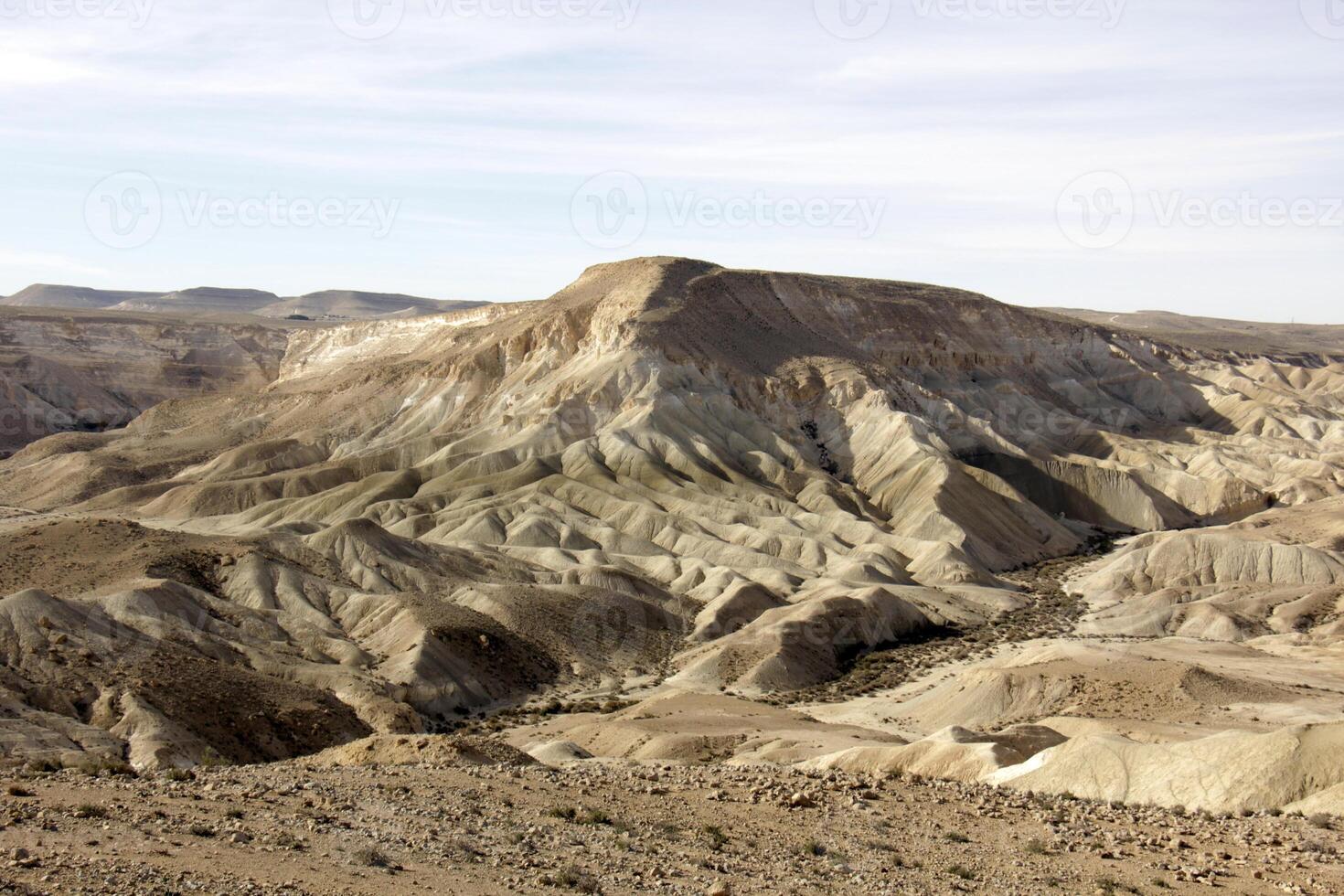 The Negev is a desert in the Middle East, located in Israel and occupying about 60 of its territory. photo