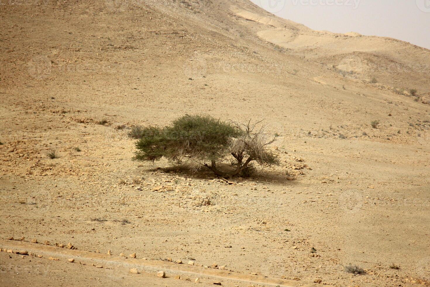 The Negev is a desert in the Middle East, located in Israel and occupying about 60 of its territory. photo