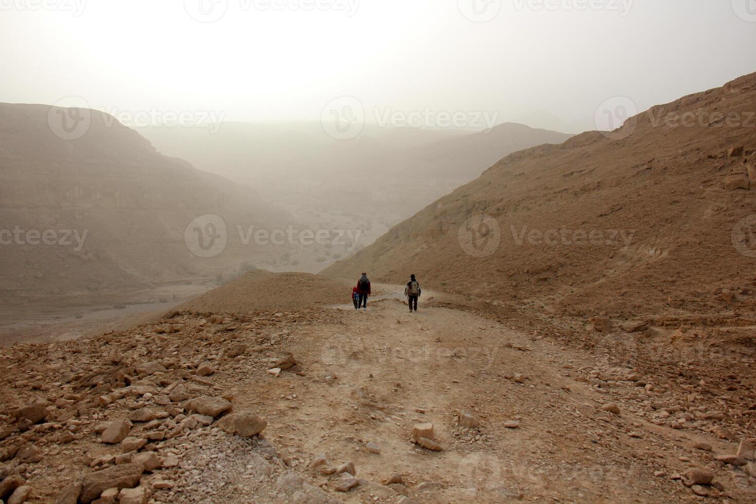 The Negev is a desert in the Middle East, located in Israel and occupying about 60 of its territory. photo