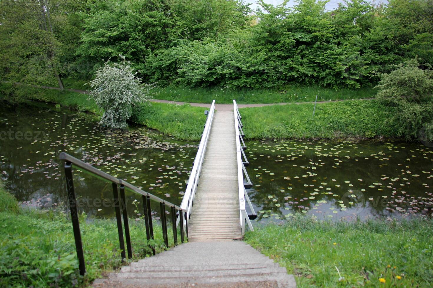 The bridge was built over a gorge and a water obstacle. photo