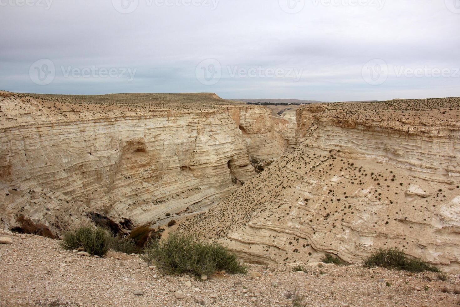 The Negev is a desert in the Middle East, located in Israel and occupying about 60 of its territory. photo