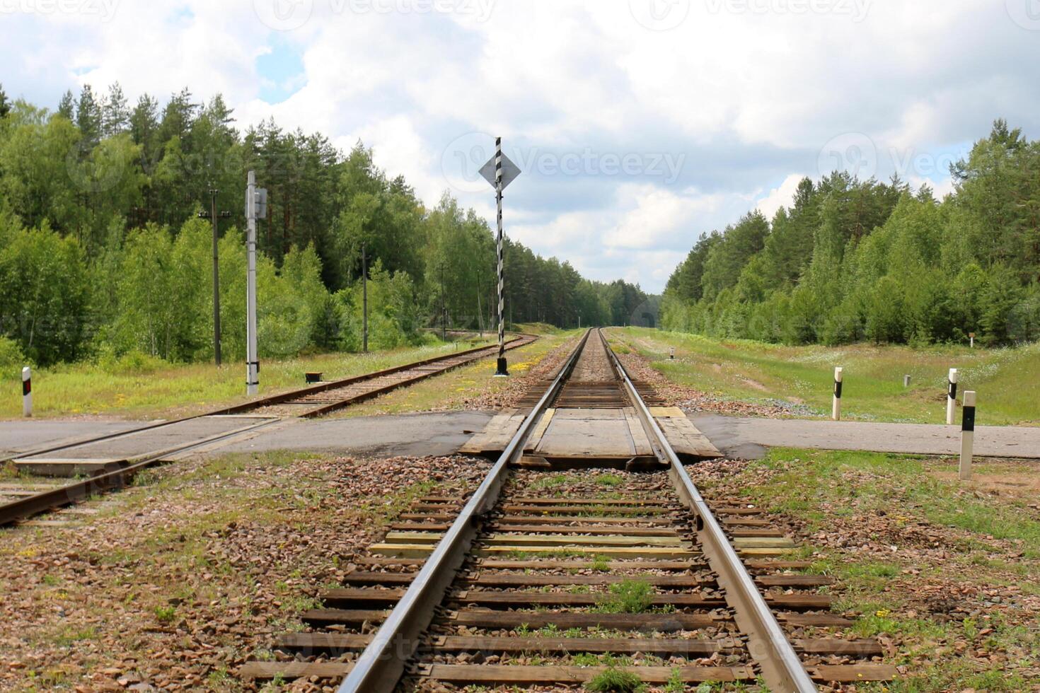 A new railway is being built. photo