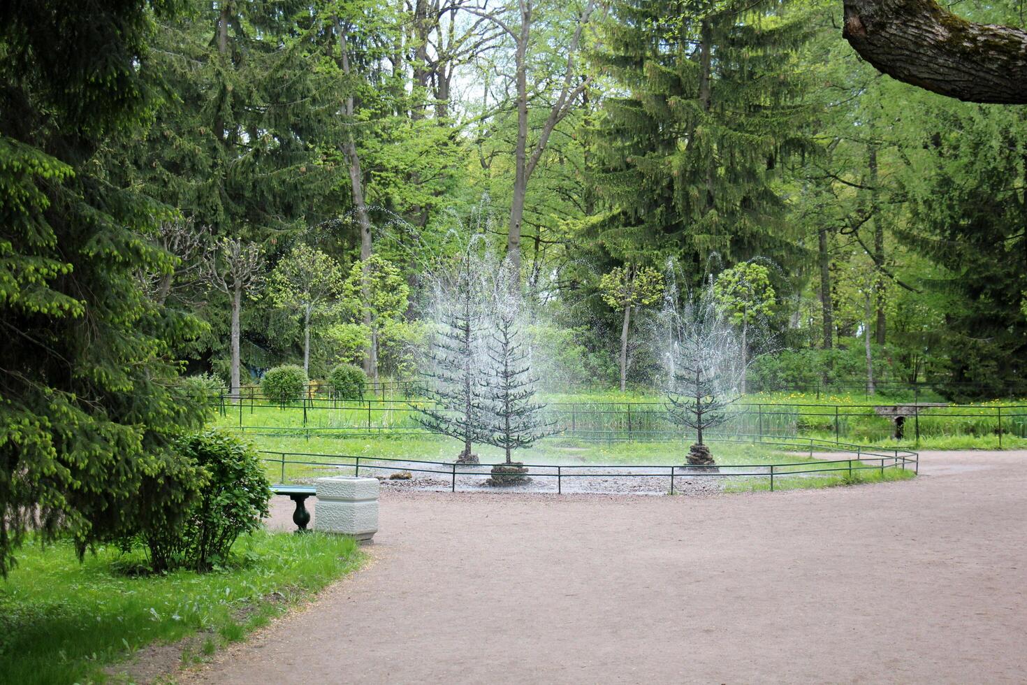 12 05 2023 St. Petersburg Russia. St. Petersburg is located in the north-west of the country on the coast of the Gulf of Finland at the mouth of the Neva River. photo