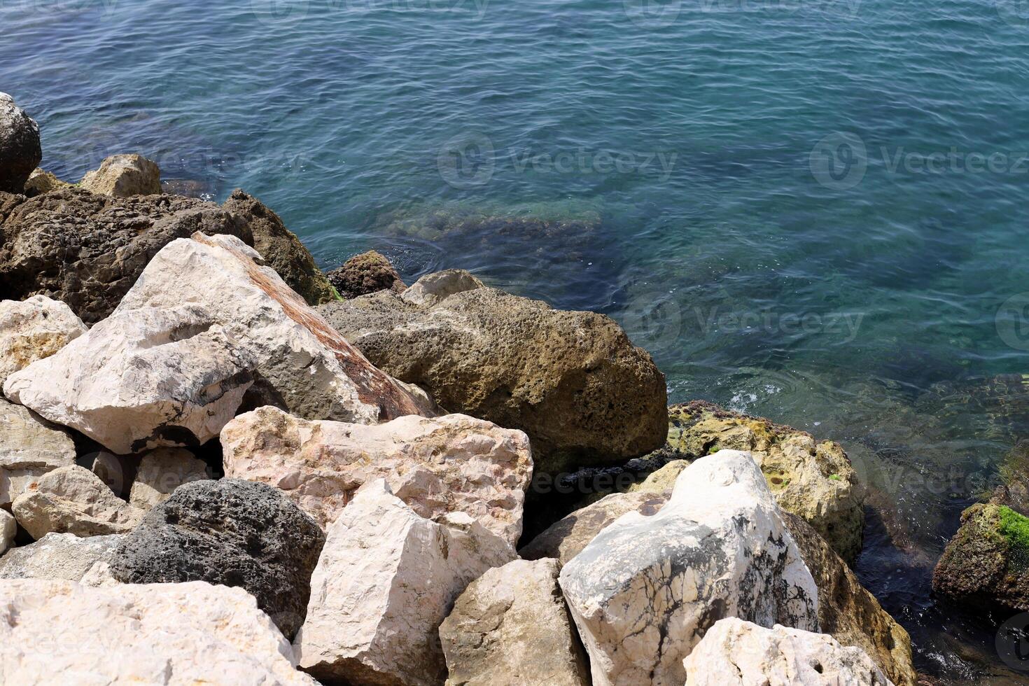 Stones and shells on the shore of the Mediterranean Sea. photo