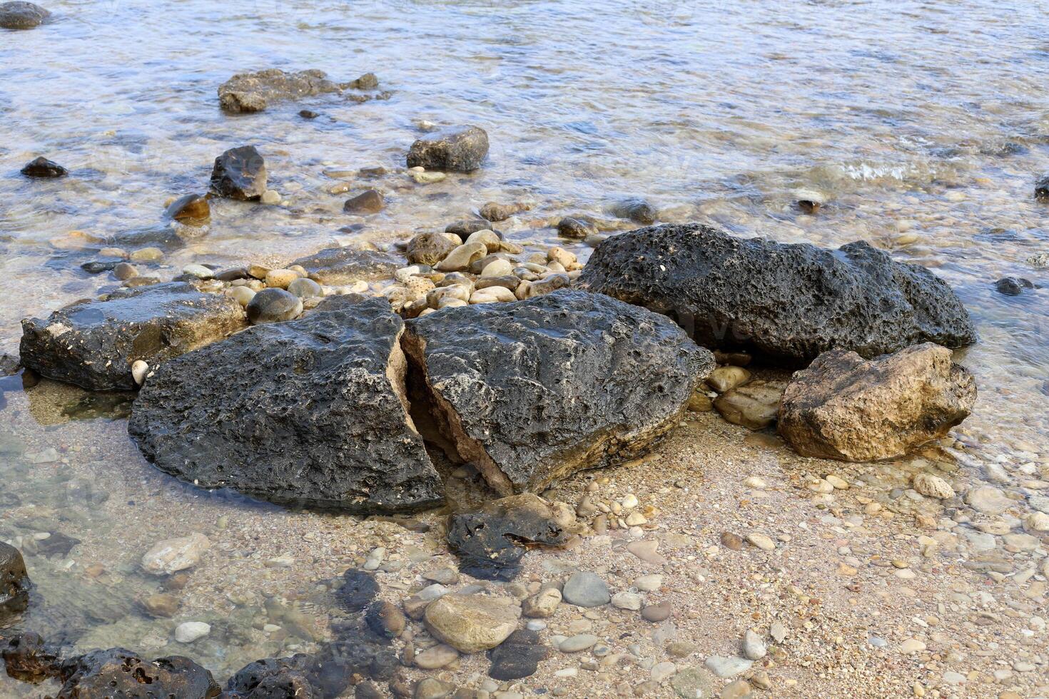 Stones and shells on the shore of the Mediterranean Sea. photo