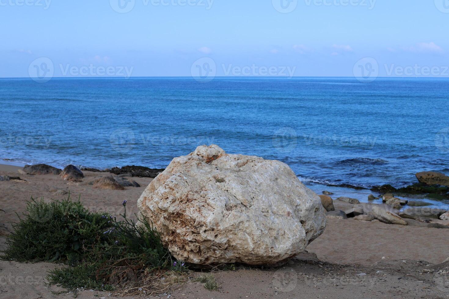 Stones and shells on the shore of the Mediterranean Sea. photo