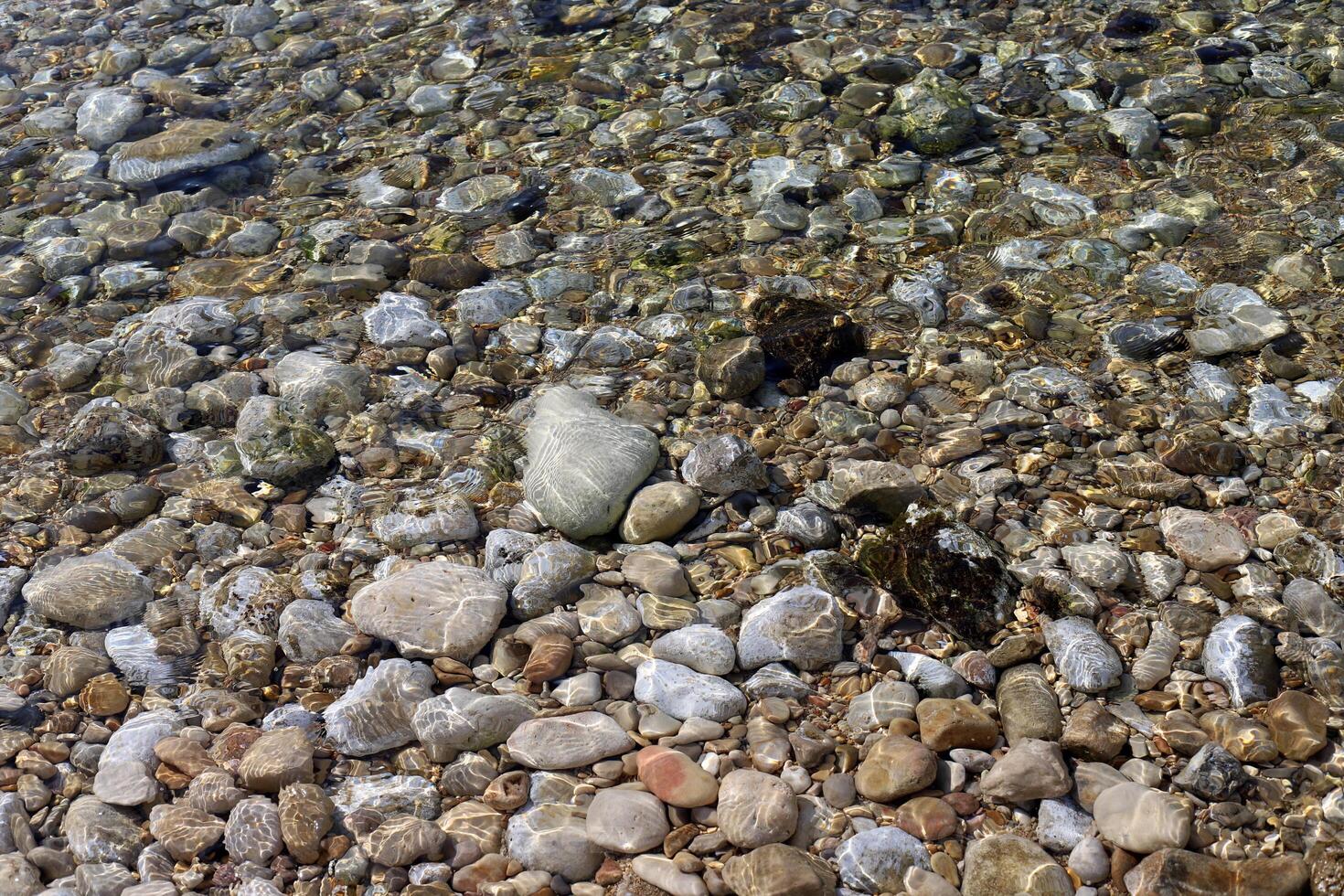 Stones and shells on the shore of the Mediterranean Sea. photo