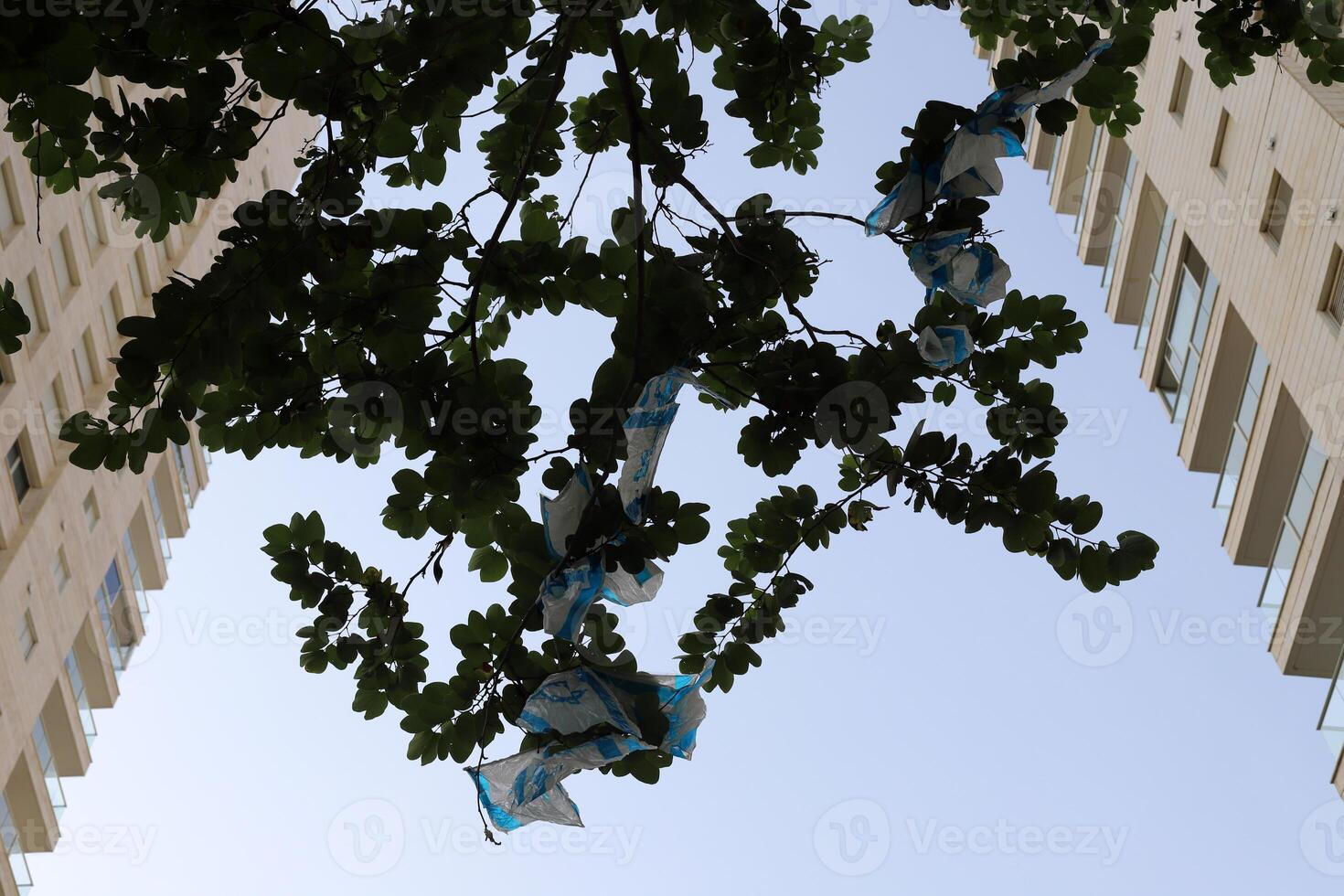 Tel Aviv Israel 03 28 2024. Buildings and structures in Tel Aviv through the foliage of tall trees. photo