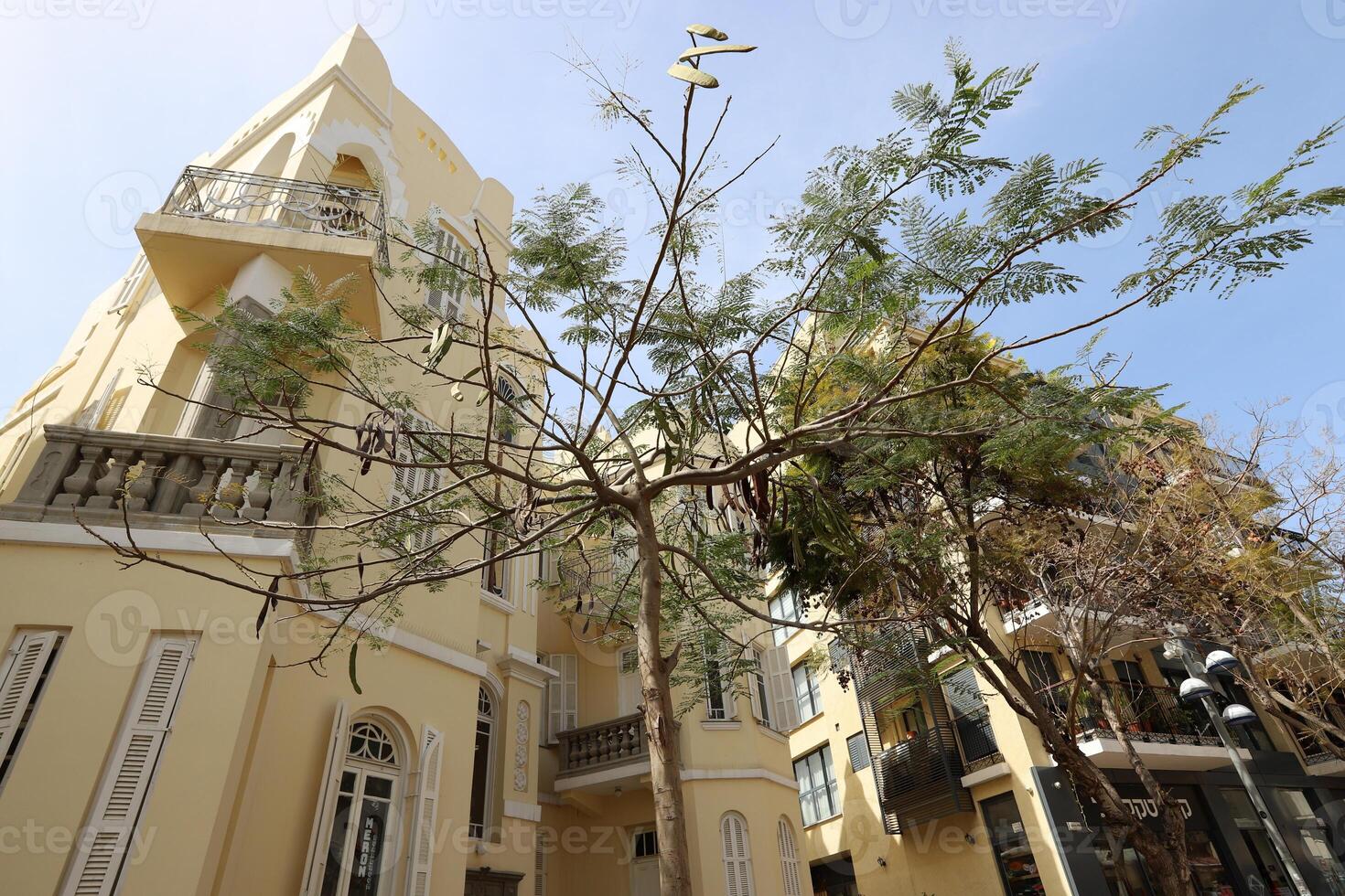Tel Aviv Israel 03 28 2024. Buildings and structures in Tel Aviv through the foliage of tall trees. photo