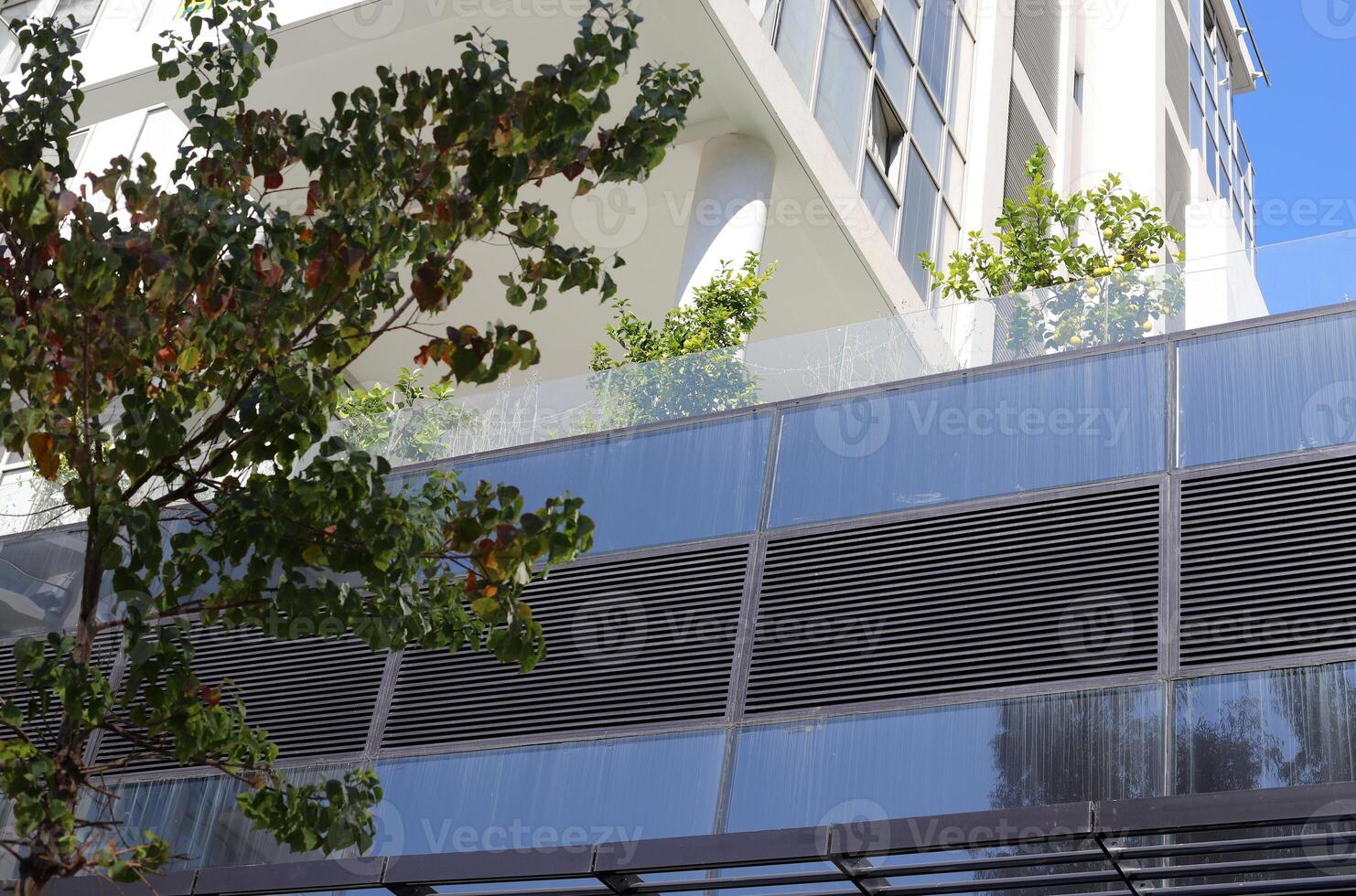 Tel Aviv Israel 03 28 2024. Buildings and structures in Tel Aviv through the foliage of tall trees. photo